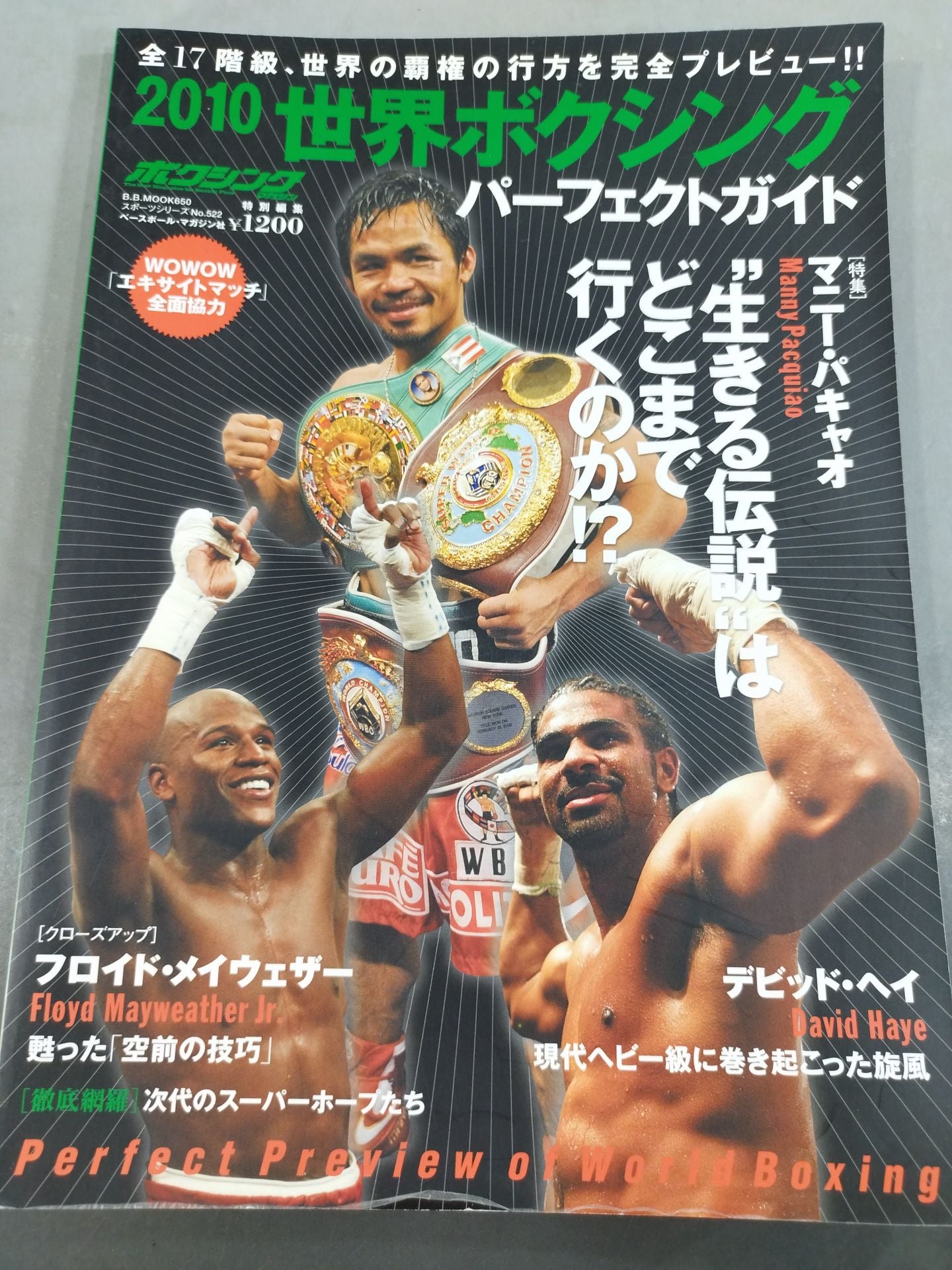 2010世界ボクシング パーフェクトガイド 全17階級「覇権の行方」徹底プレビュー