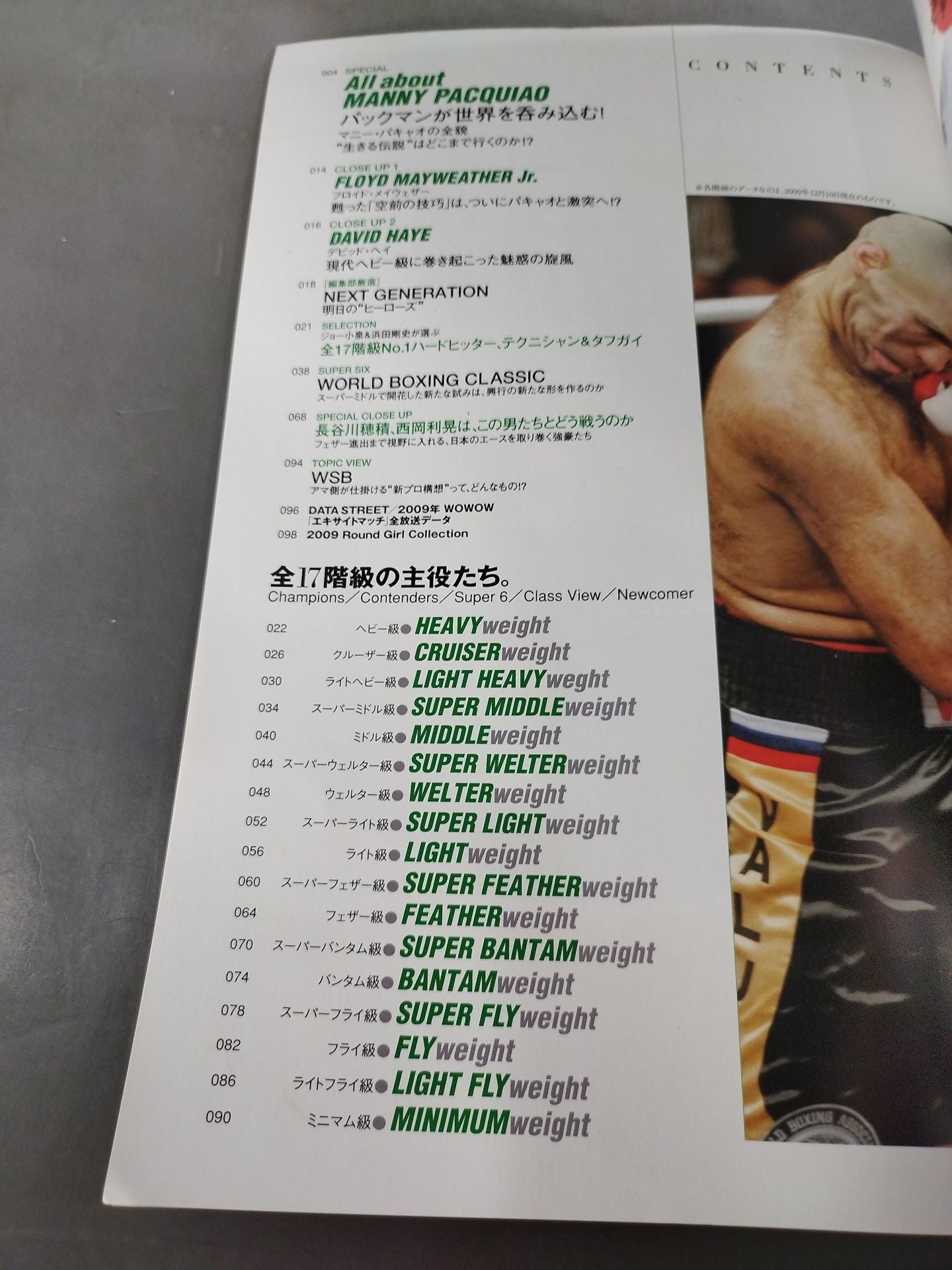 2010世界ボクシング パーフェクトガイド 全17階級「覇権の行方」徹底プレビュー