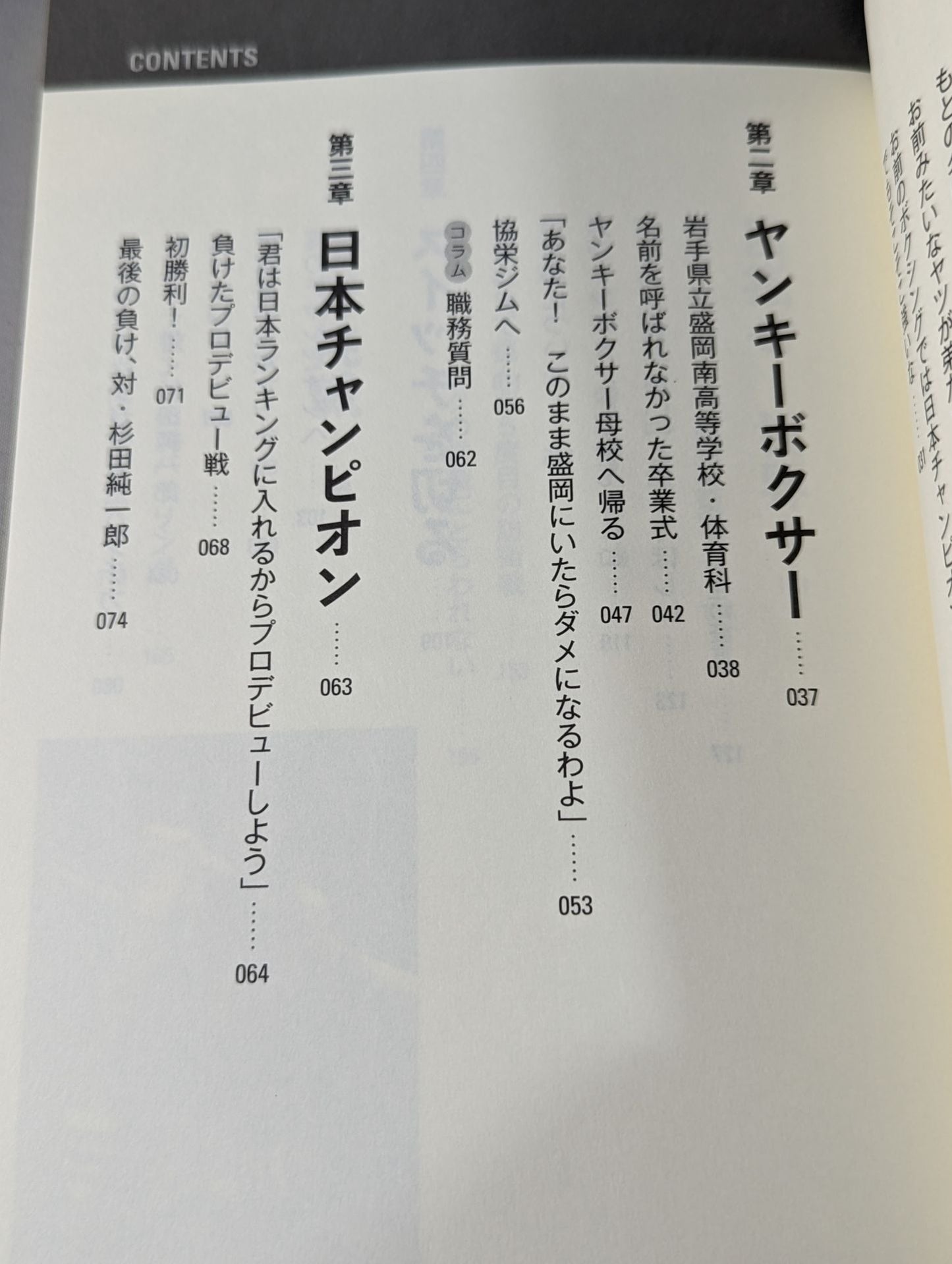 不良(ヤンキー)ボクサー母校へ帰る