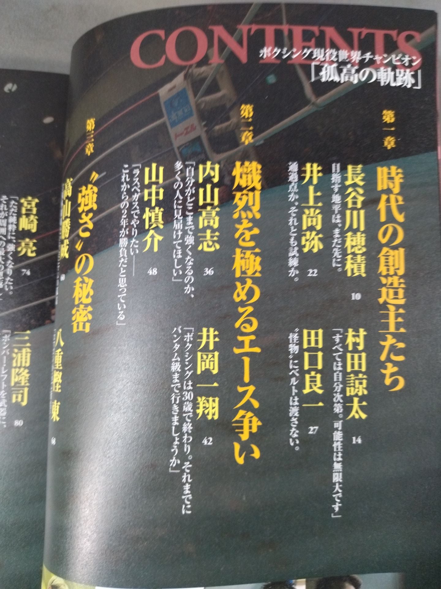 別冊宝島2054 ボクシング現役世界チャンピオン「孤高の軌跡」