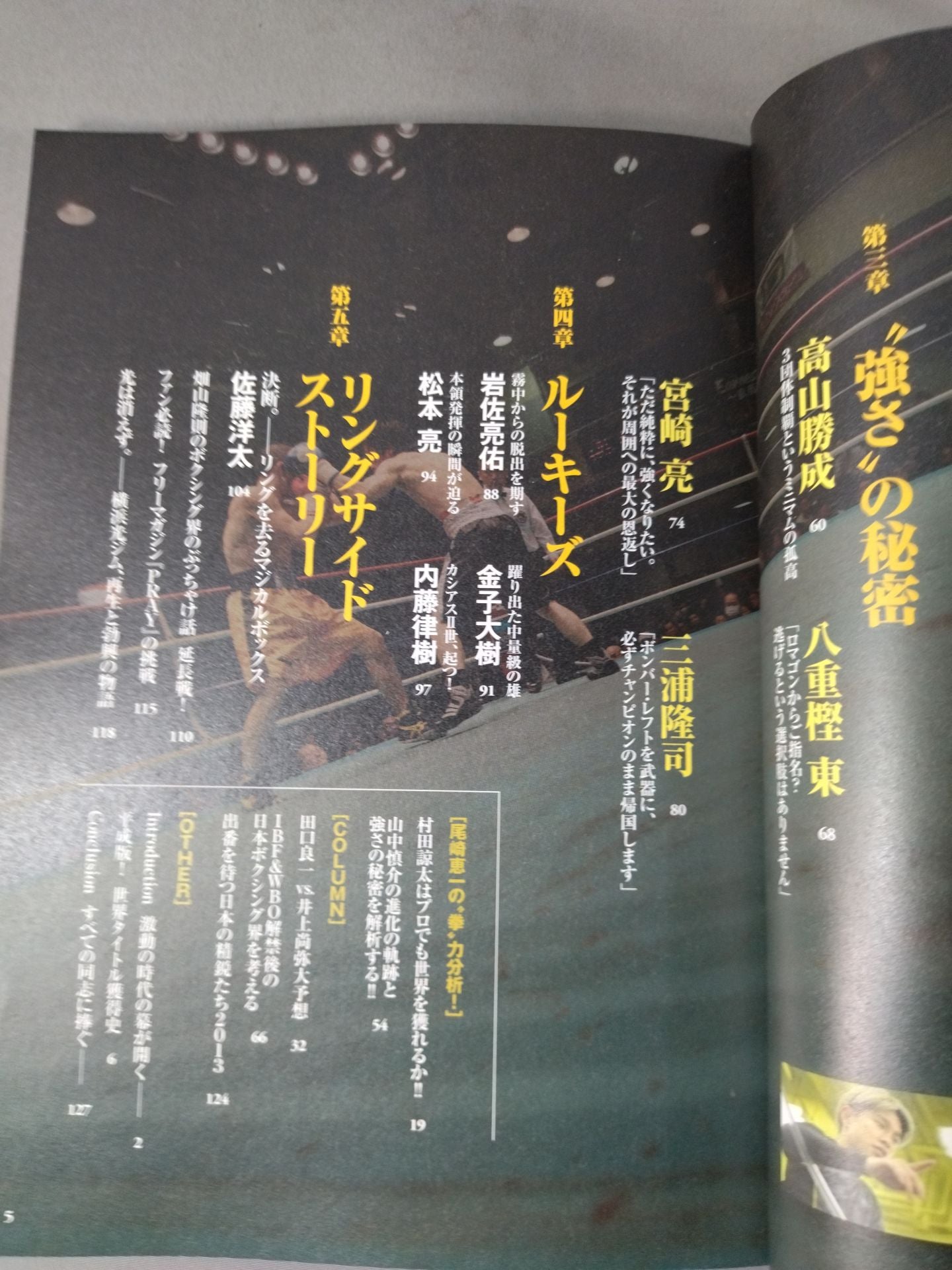 別冊宝島2054 ボクシング現役世界チャンピオン「孤高の軌跡」