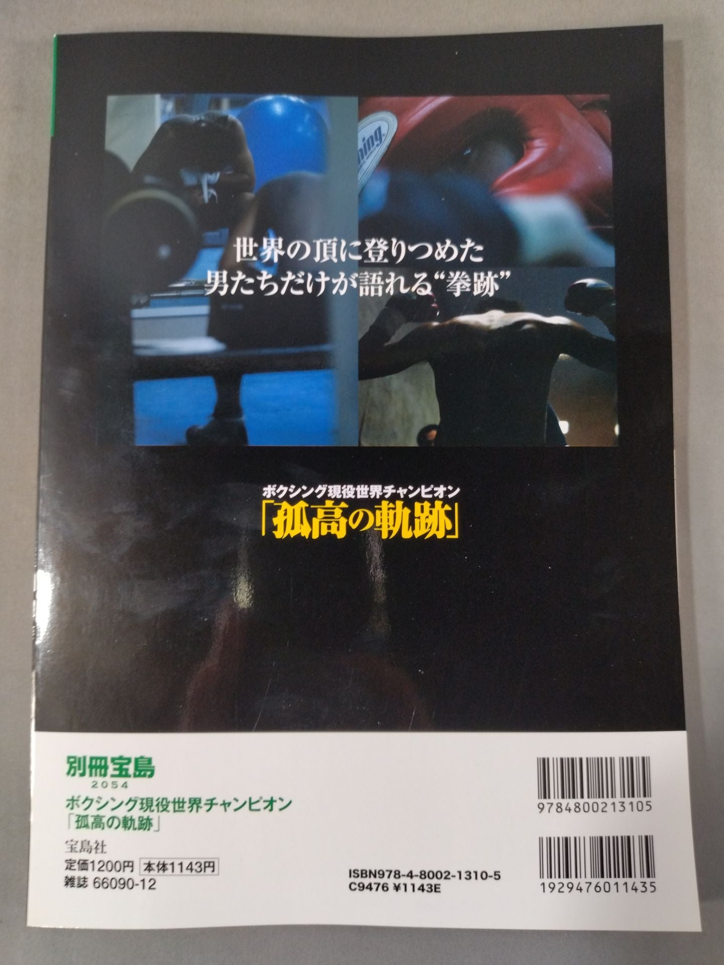 別冊宝島2054 ボクシング現役世界チャンピオン「孤高の軌跡」