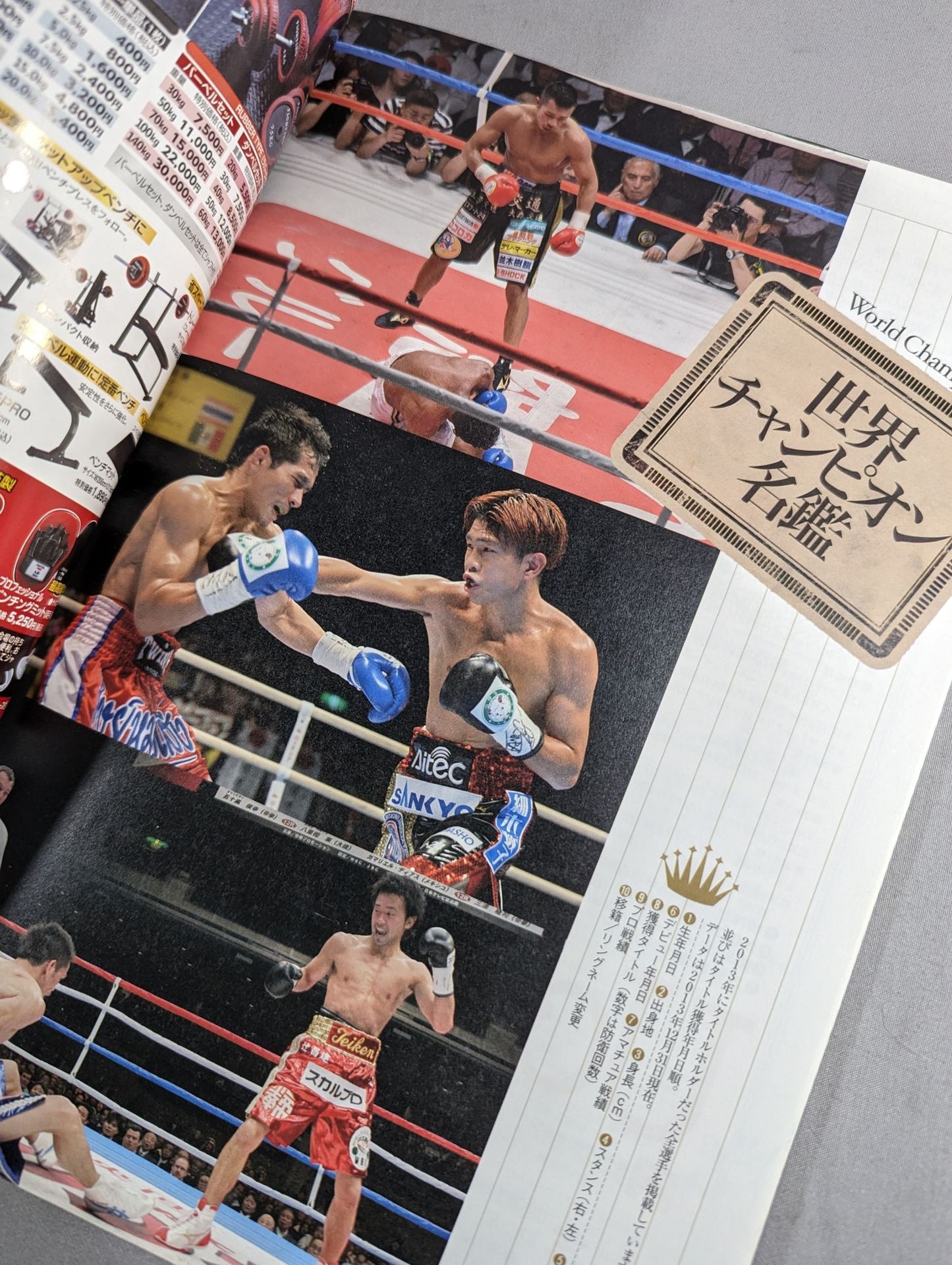 Japan Professional Boxing Directory 2014