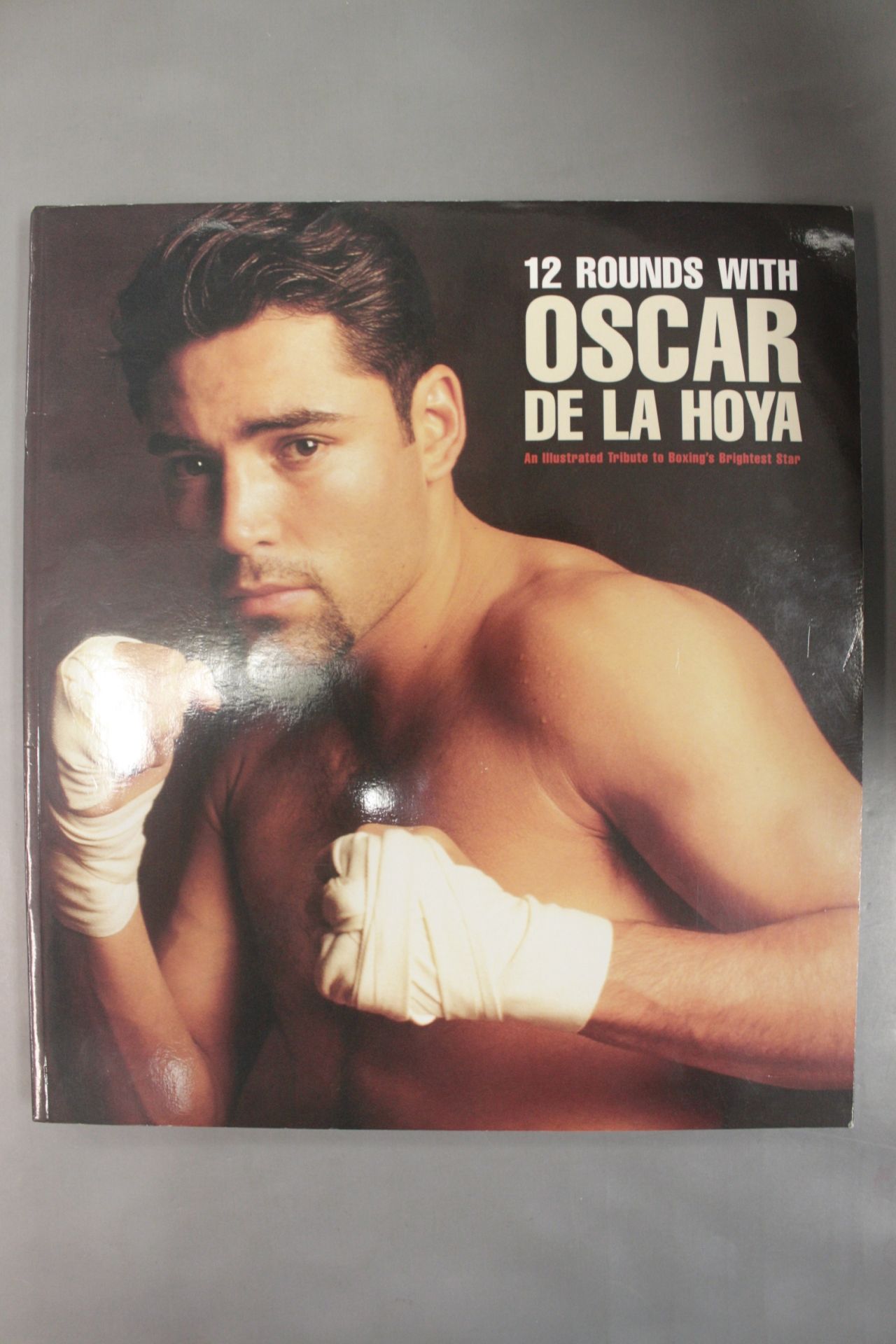 12 ROUNDS WITH OSCAR DE LA HOYA