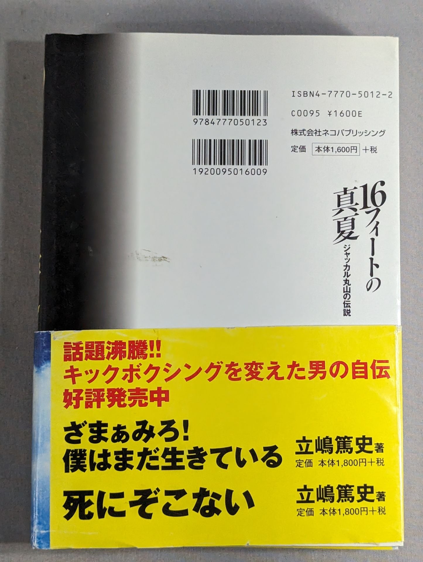 16フィートの真夏 ジャッカル丸山の伝説