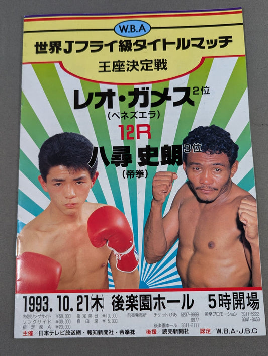【WBA世界Jフライ級王座決定戦】レオ・ガメスvs八尋史朗