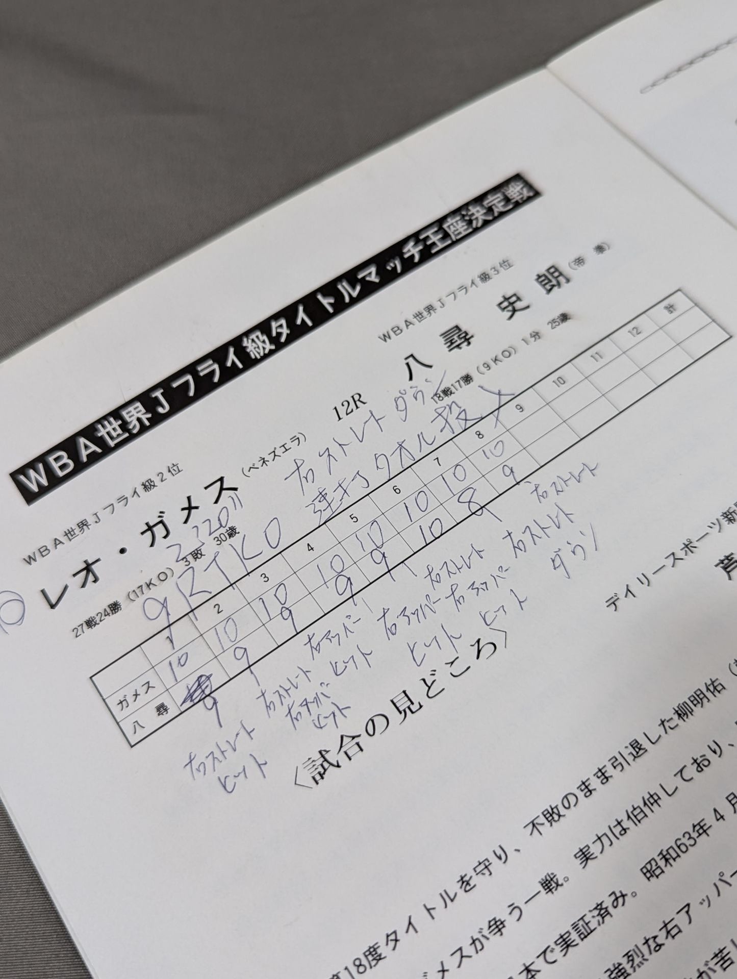 【WBA世界Jフライ級王座決定戦】レオ・ガメスvs八尋史朗