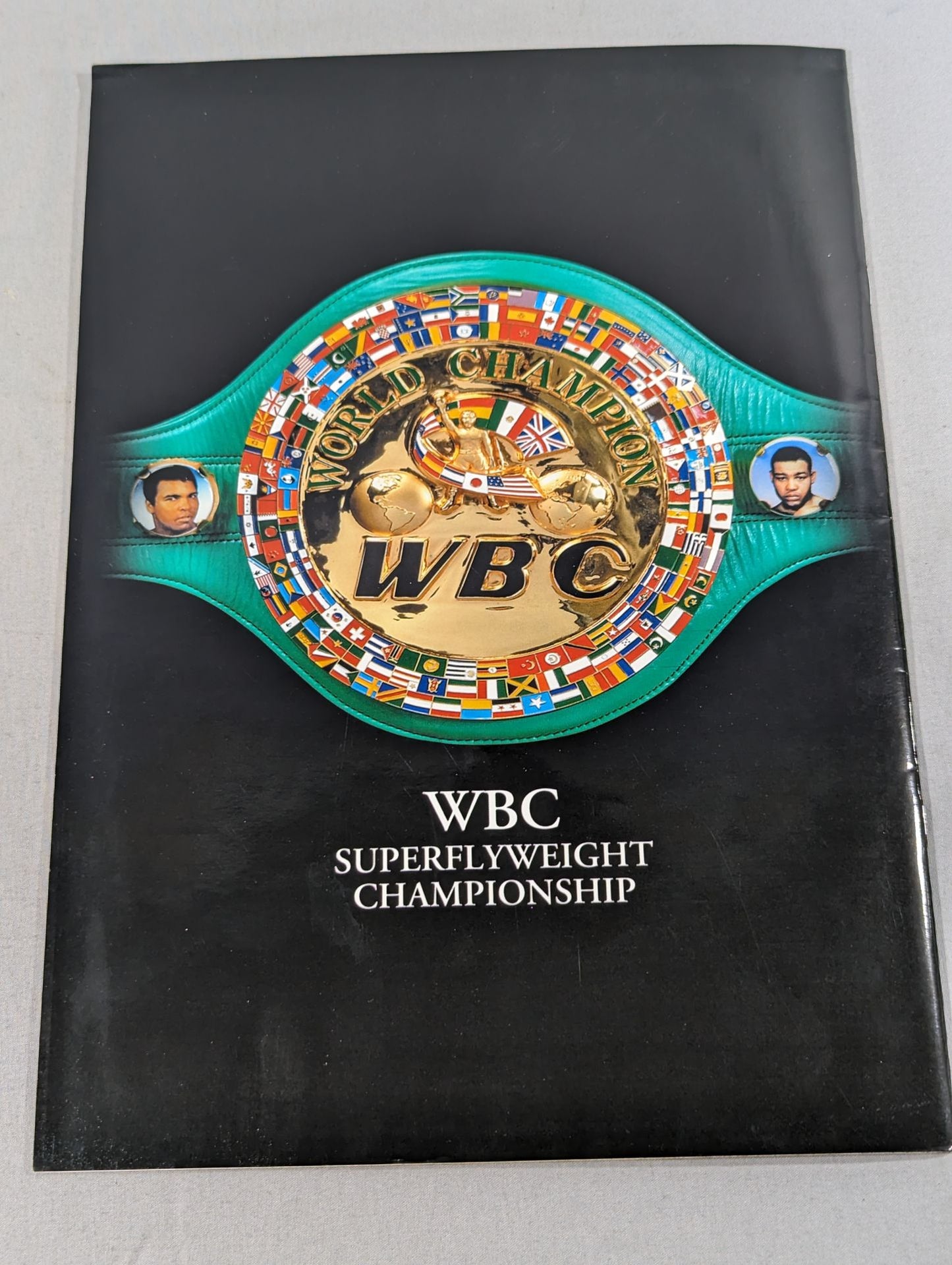 【WBC世界Sフライ級タイトルマッチ】ロハスvs名城信男
