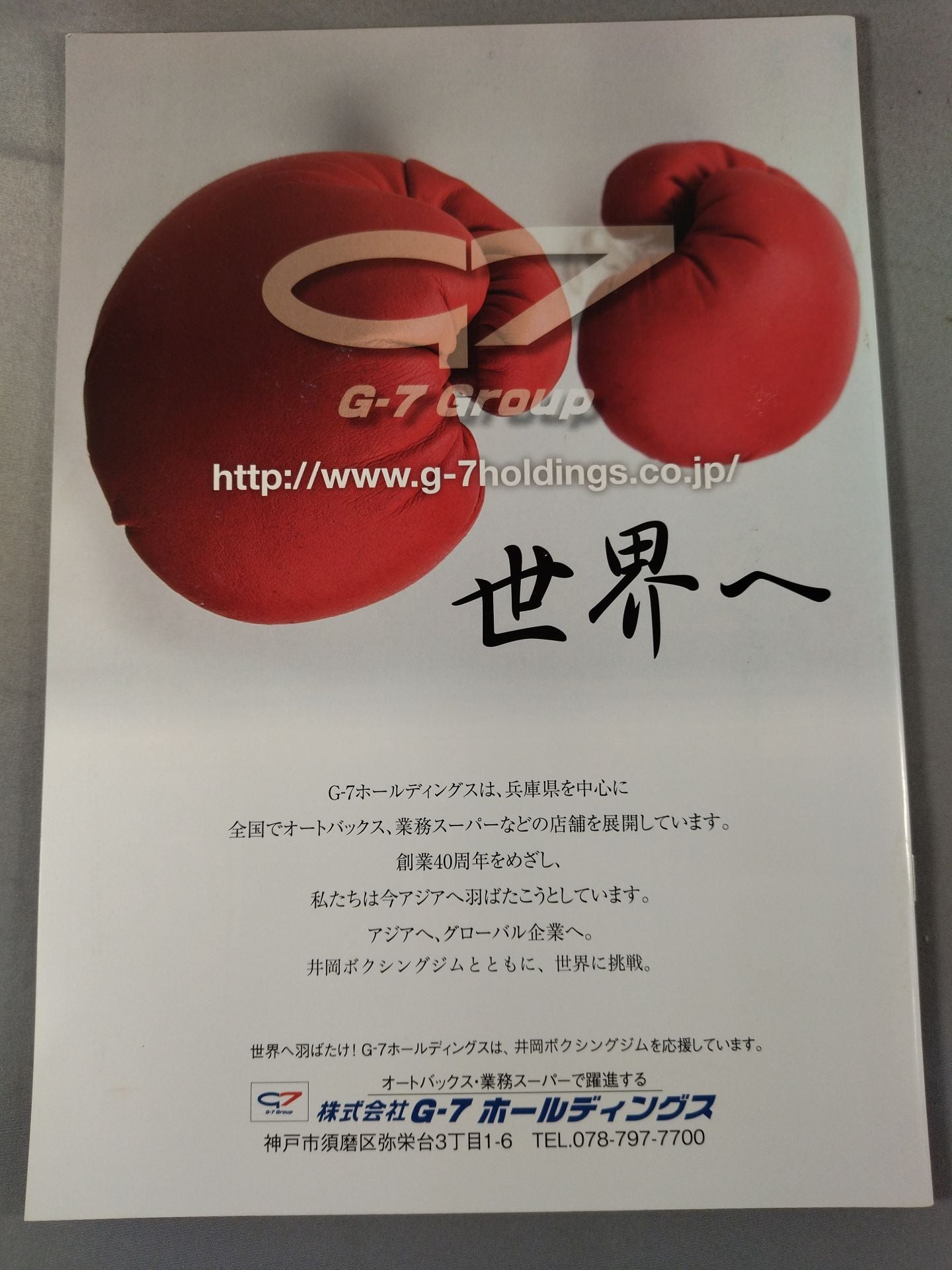 井岡一翔vsパブロ・カリージョ / フライ級世界前哨戦