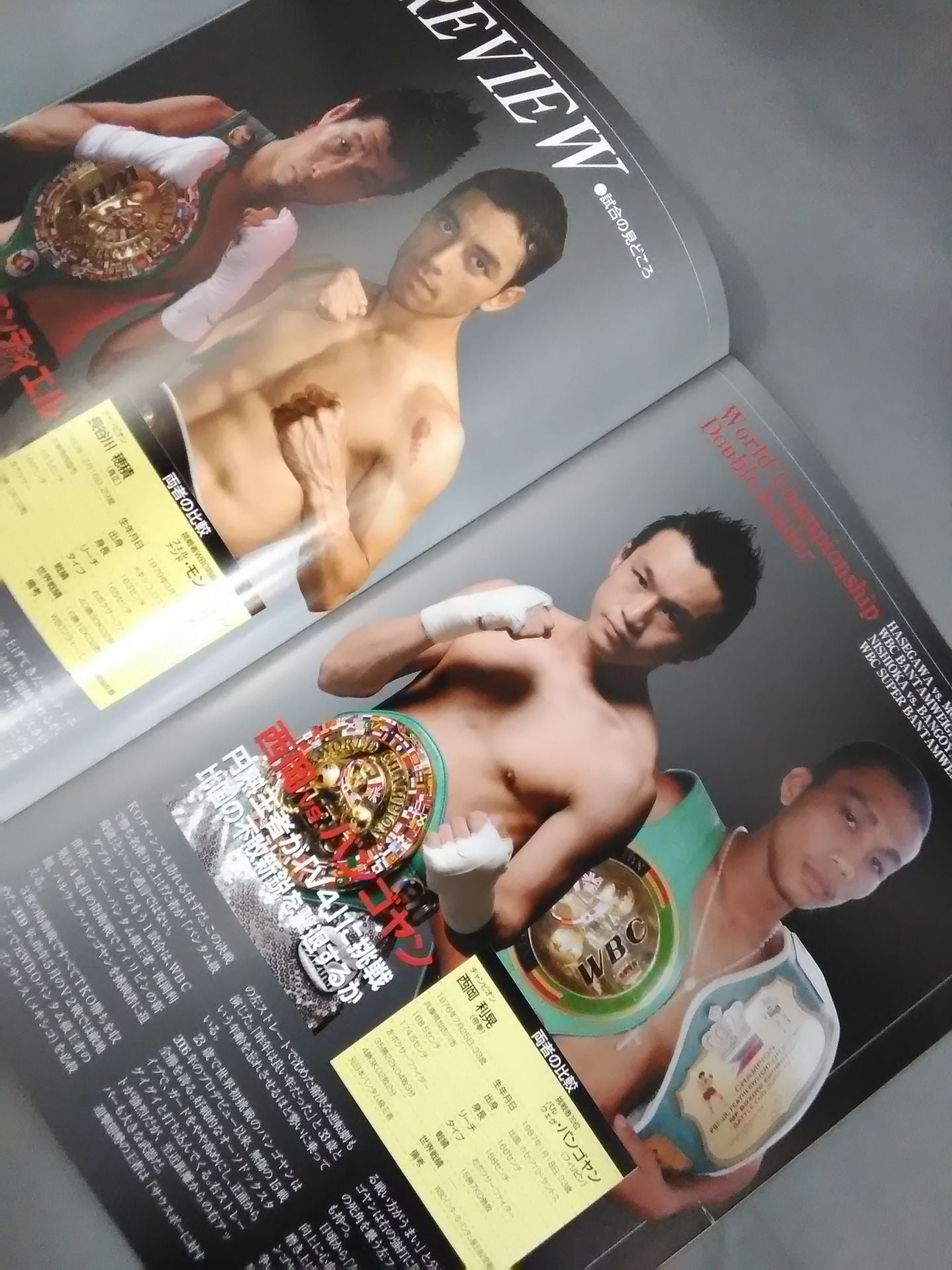長谷川穂積&西岡利晃 ダブル世界タイトルマッチ
