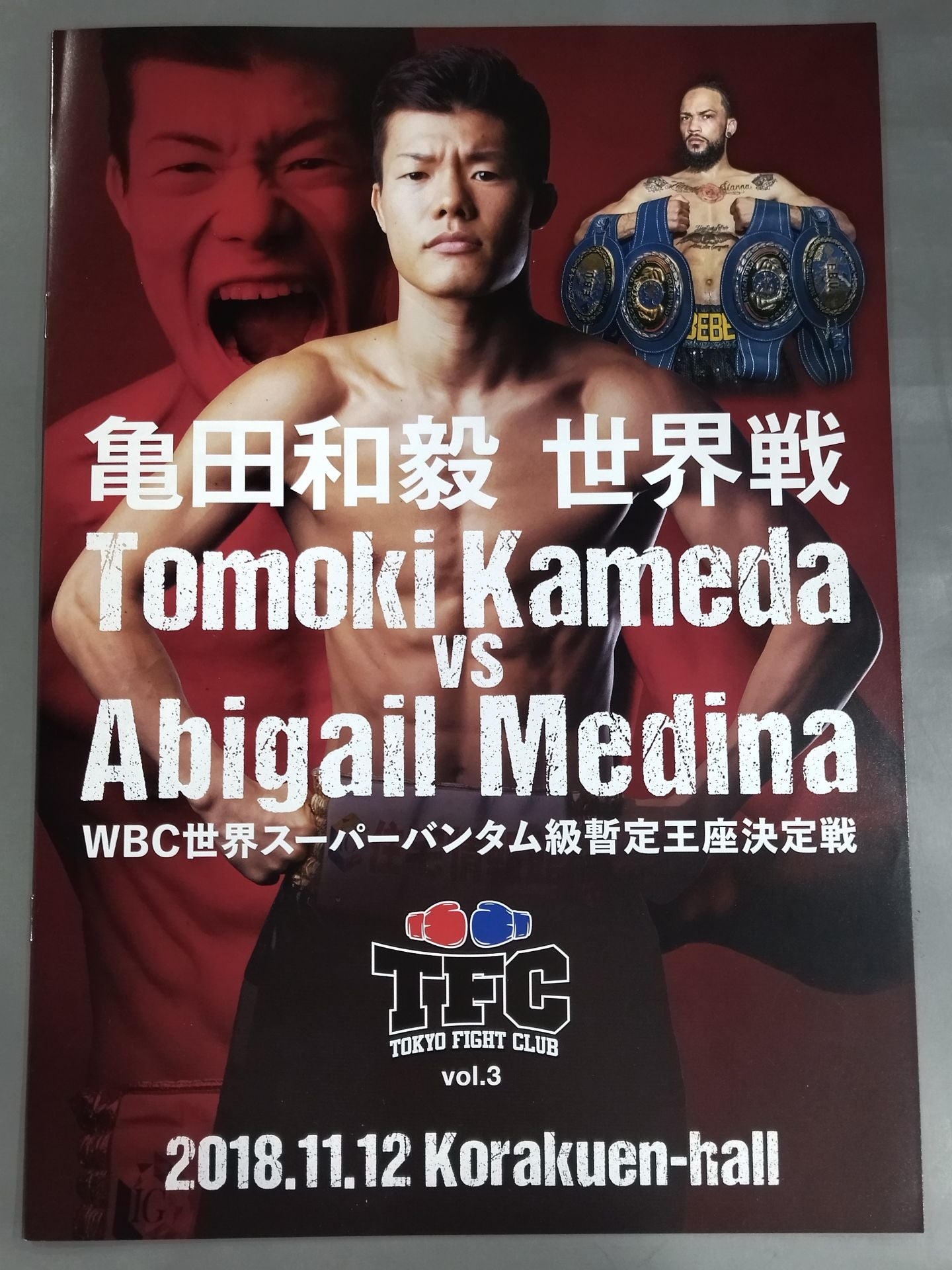 WBC World S Bantamweight Interim Title Match: Kazuki Kameda vs Medina