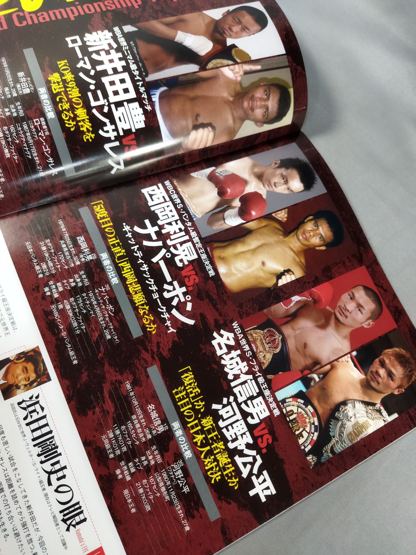 新井田豊&西岡利晃&名城信男 3大世界タイトルマッチ