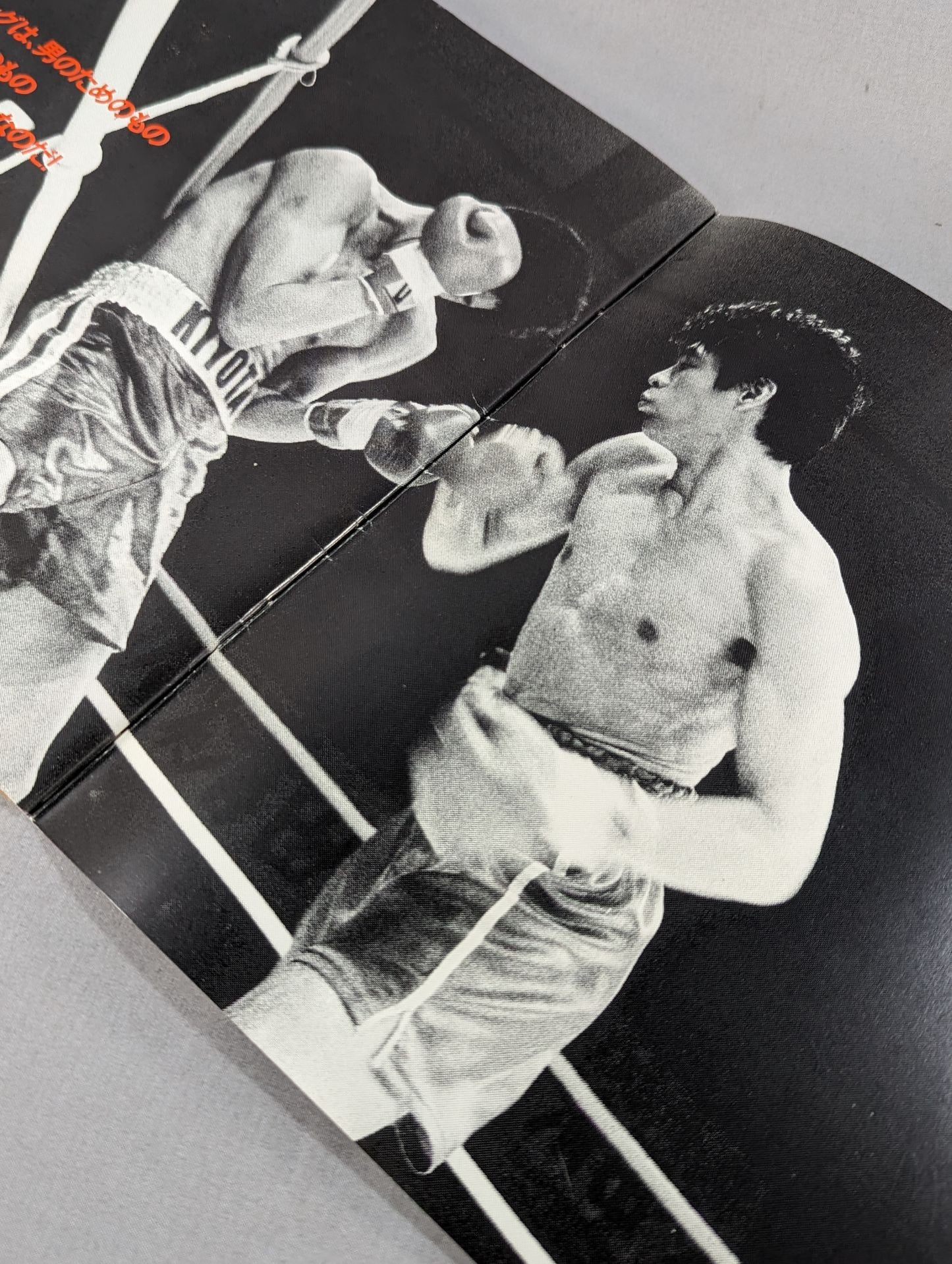 【赤井英和 直筆サイン入り】どついたるねん