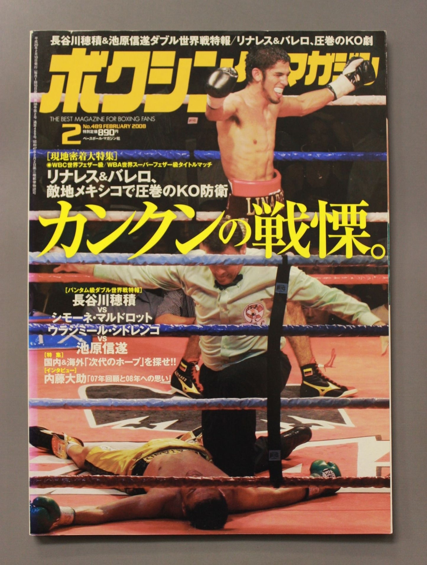 ボクシングマガジン489
