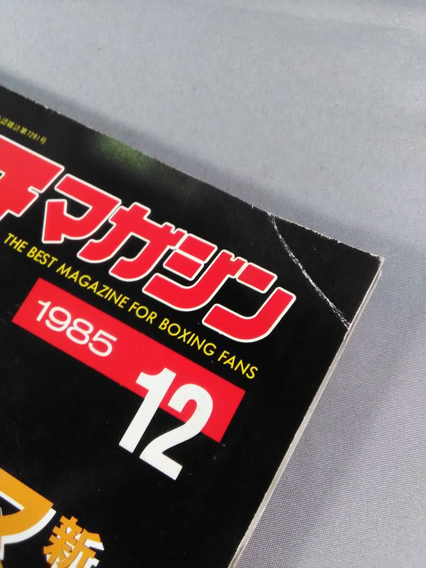 ボクシングマガジン193