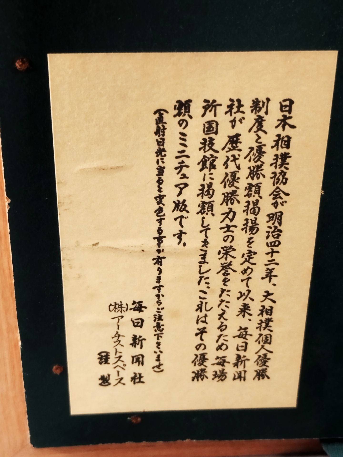 Wakanohana Miniature Winner(1)