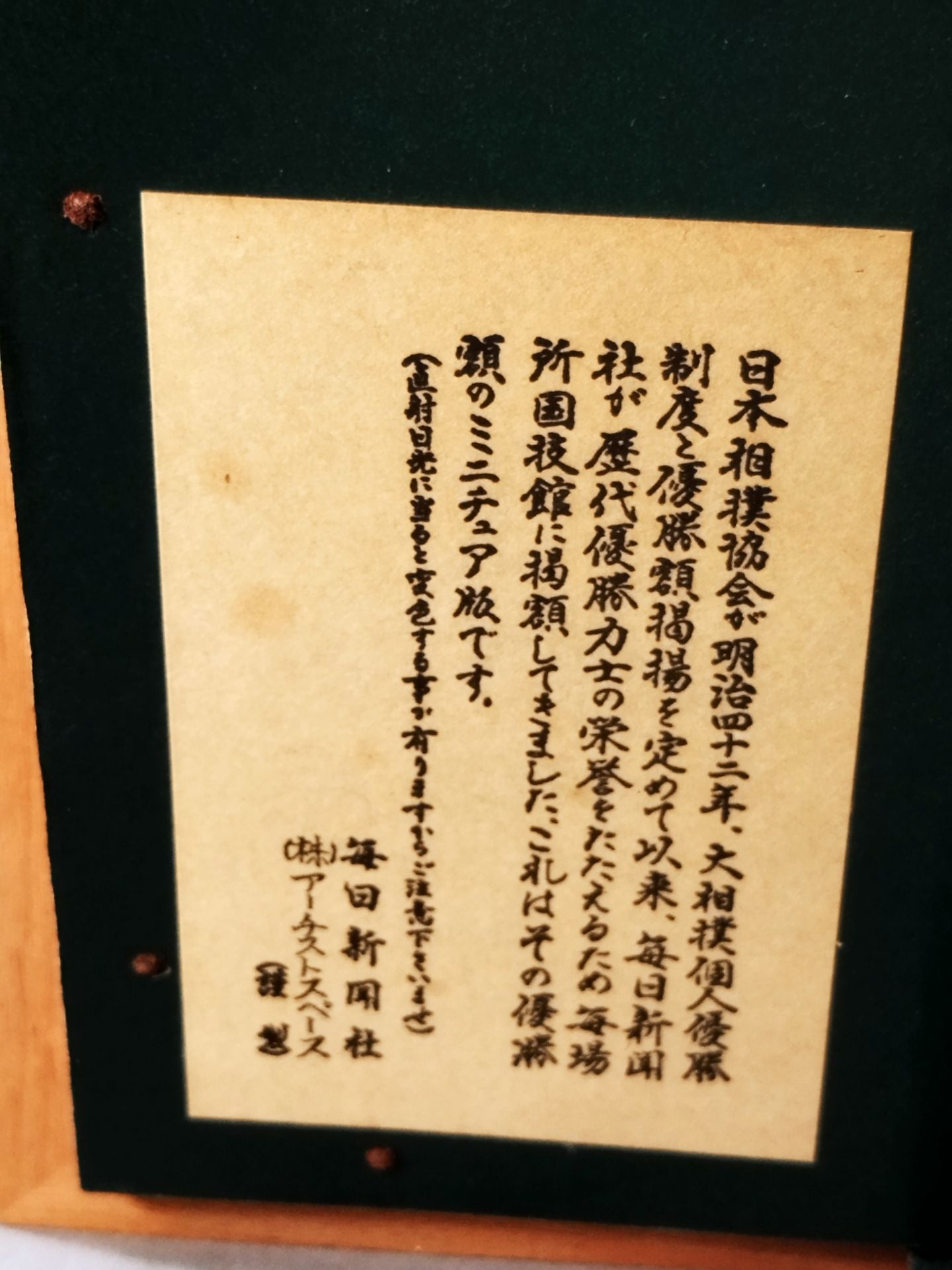 Takanohana Miniature Prize (1)