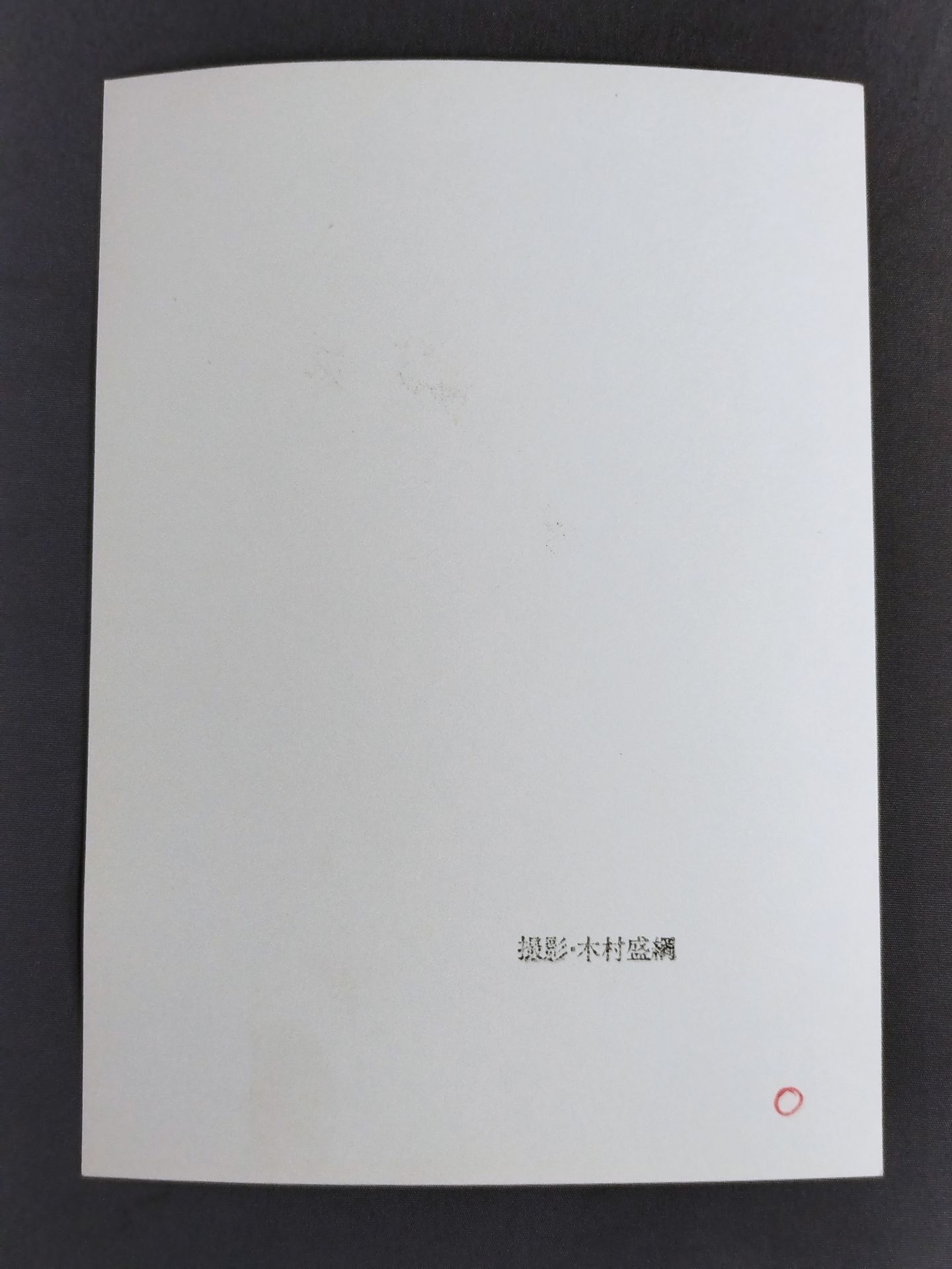 ★木村盛綱氏撮影★ 大鵬 白黒生写真