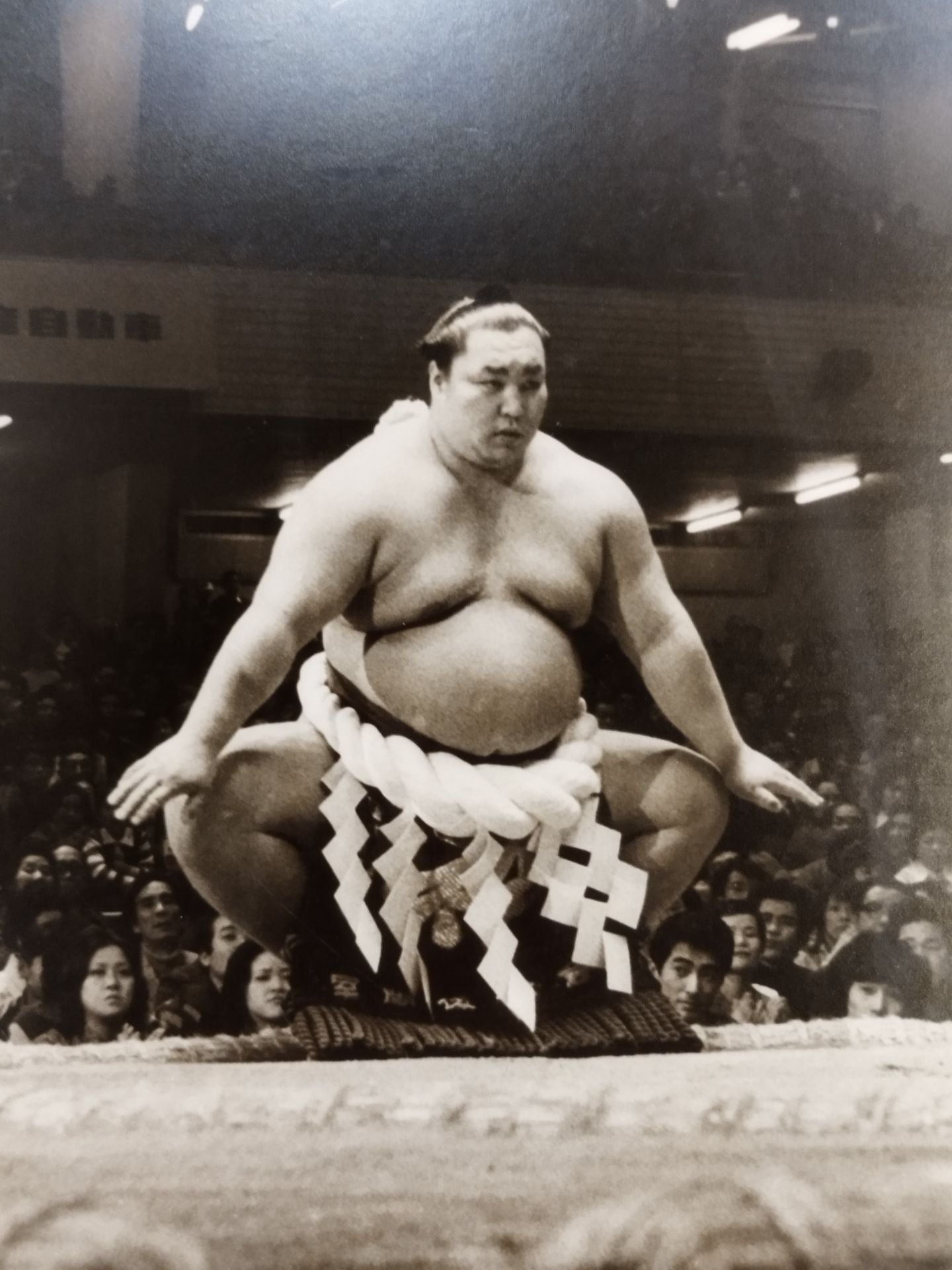 Kitanoumi  Ring Entrance  Large format photo panel