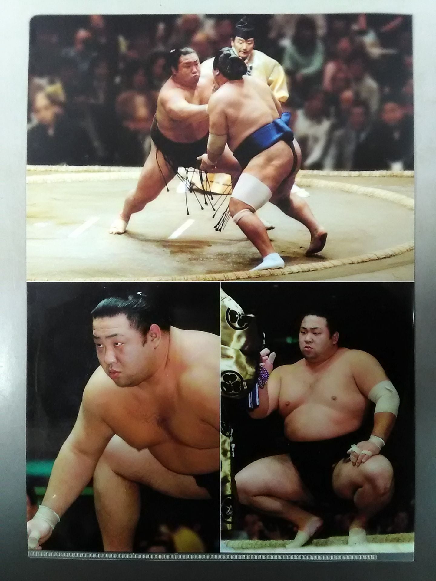 Chiyo Taikai plastic file folder