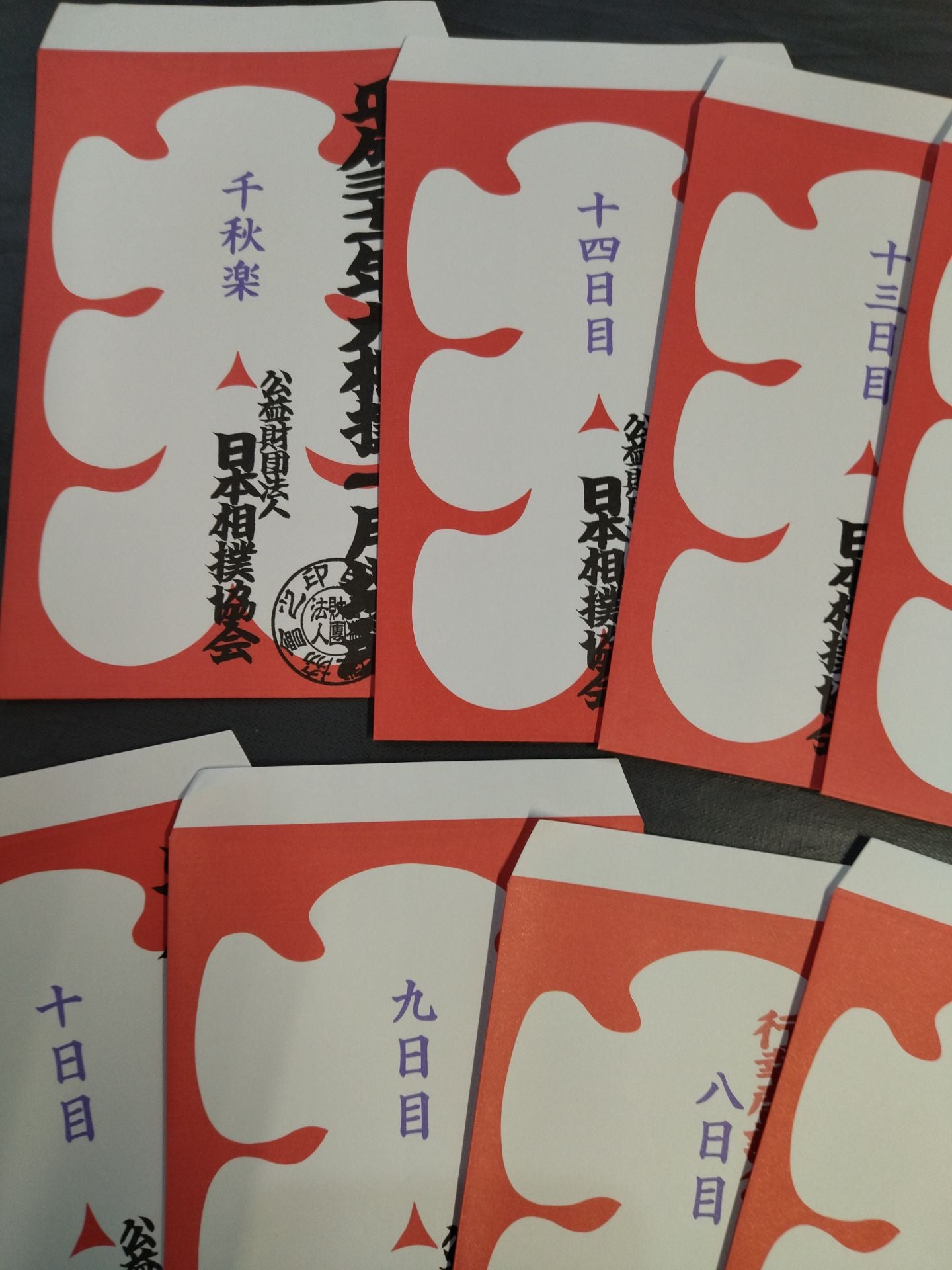 Heisei 31 Grand Sumo January Place Large Bag Complete Set