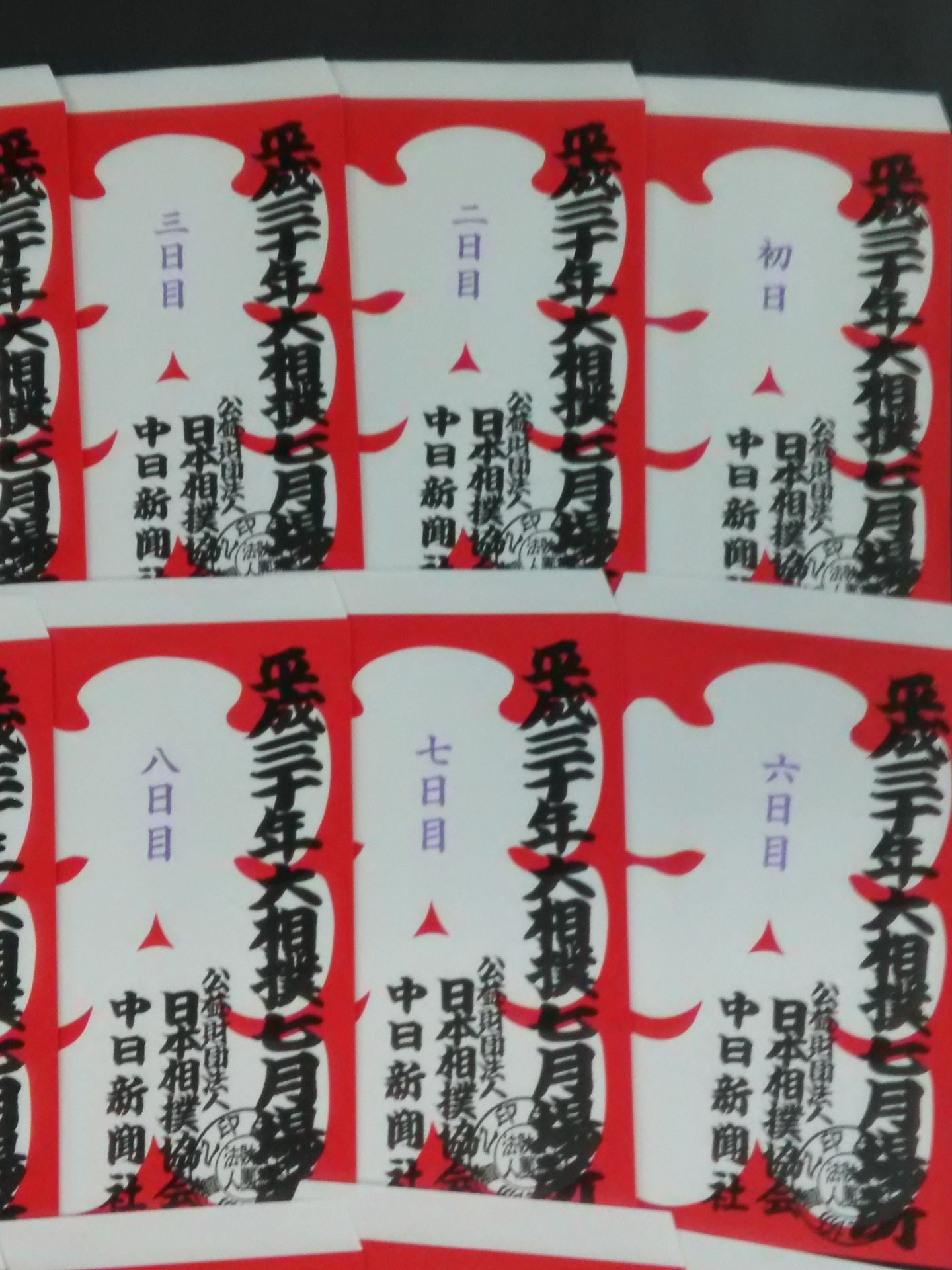 Heisei 30 Sumo July Place Large Bag Complete Set