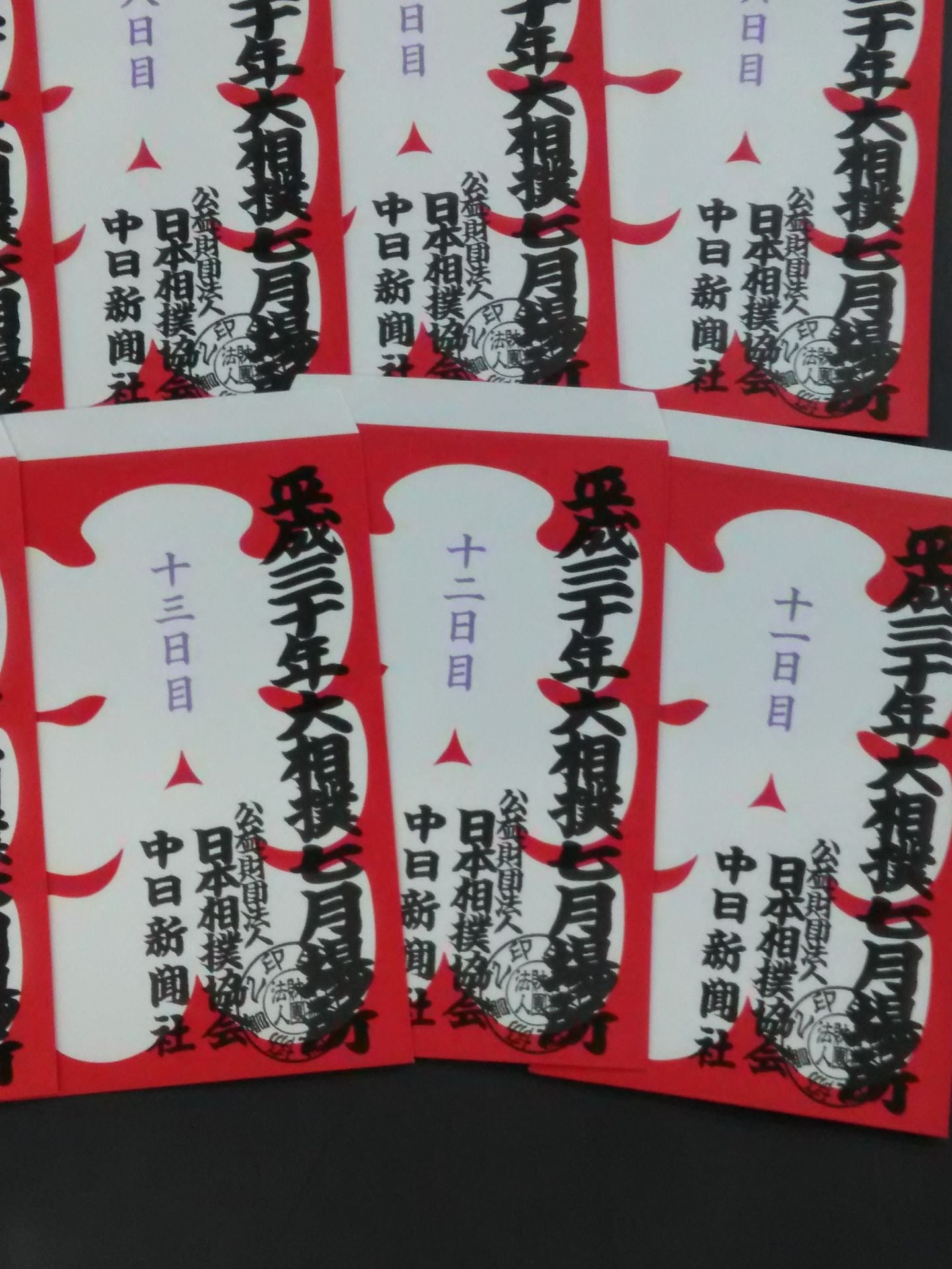 Heisei 30 Sumo July Place Large Bag Complete Set