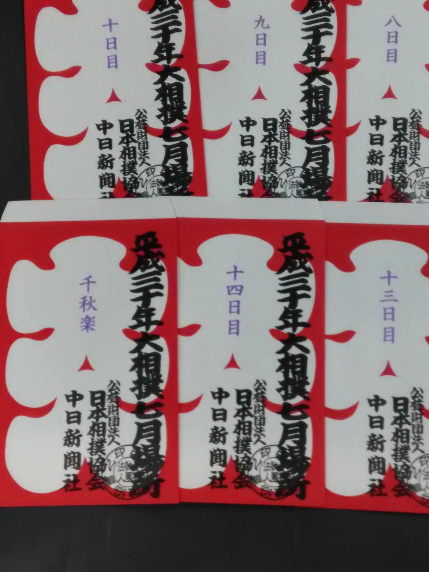 Heisei 30 Sumo July Place Large Bag Complete Set