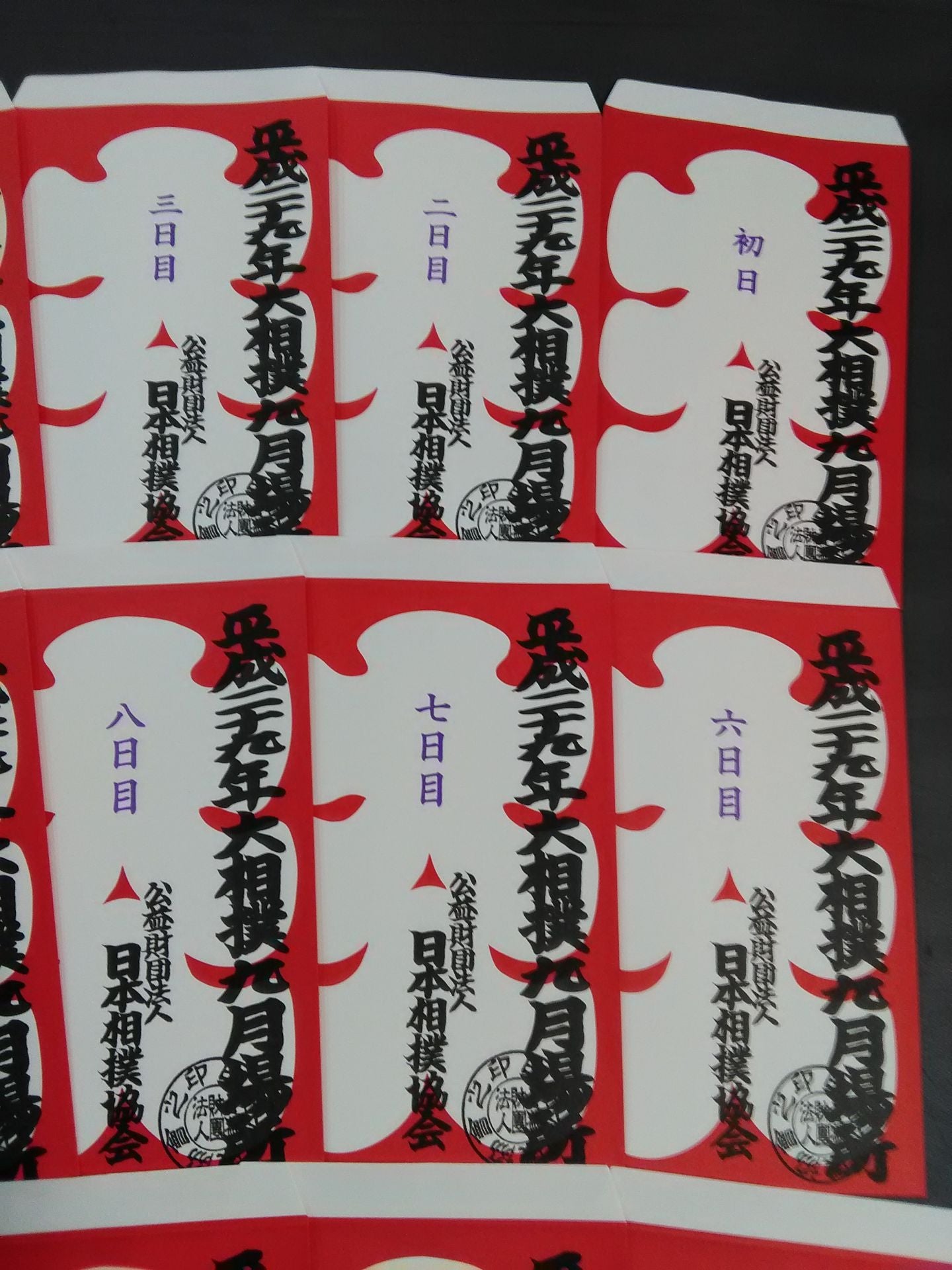 Heisei 29 Sumo September Place Large Bag Complete Set