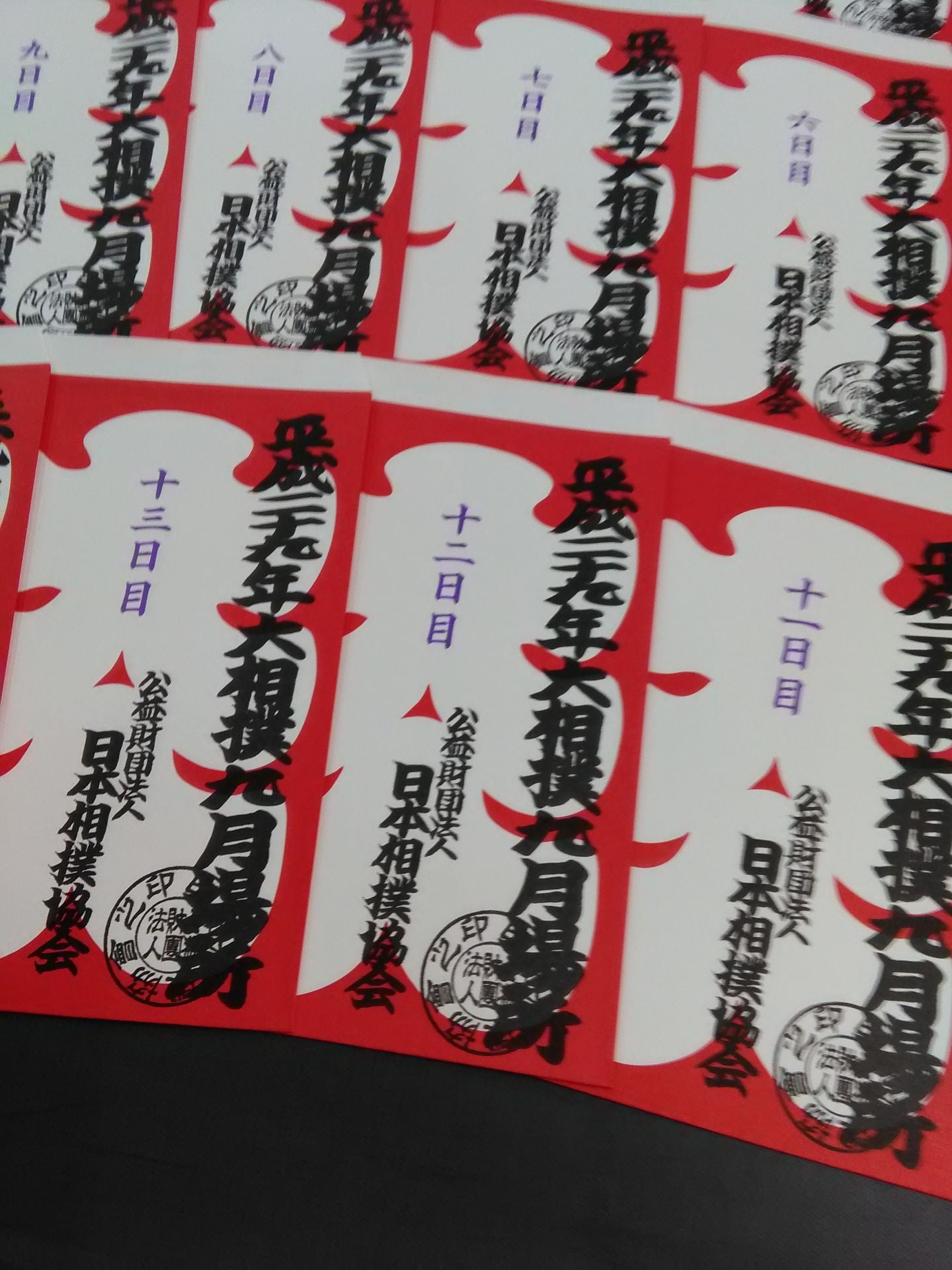 Heisei 29 Sumo September Place Large Bag Complete Set
