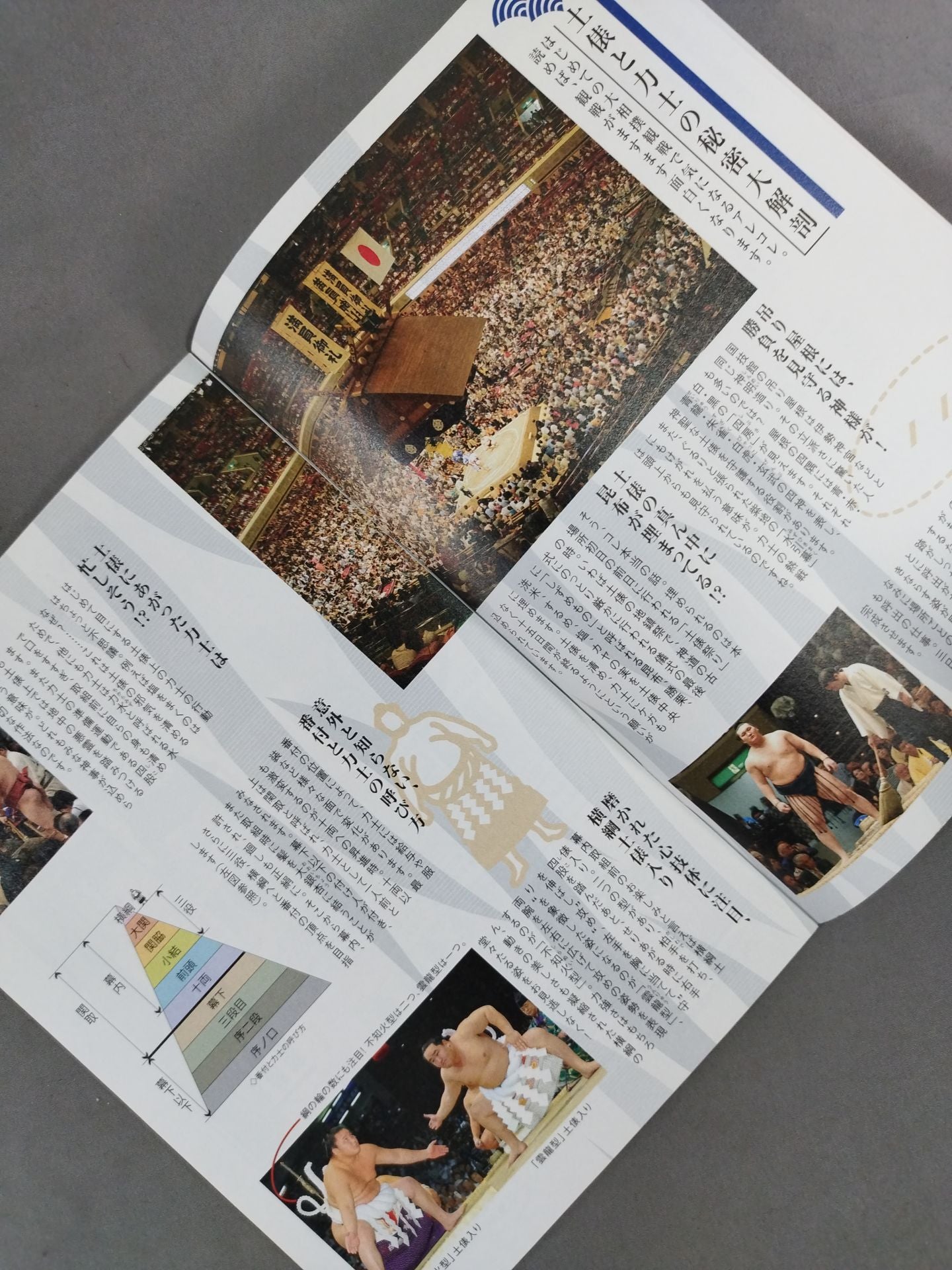 Introduction to Sumo Wrestling Ryogoku Handbook
