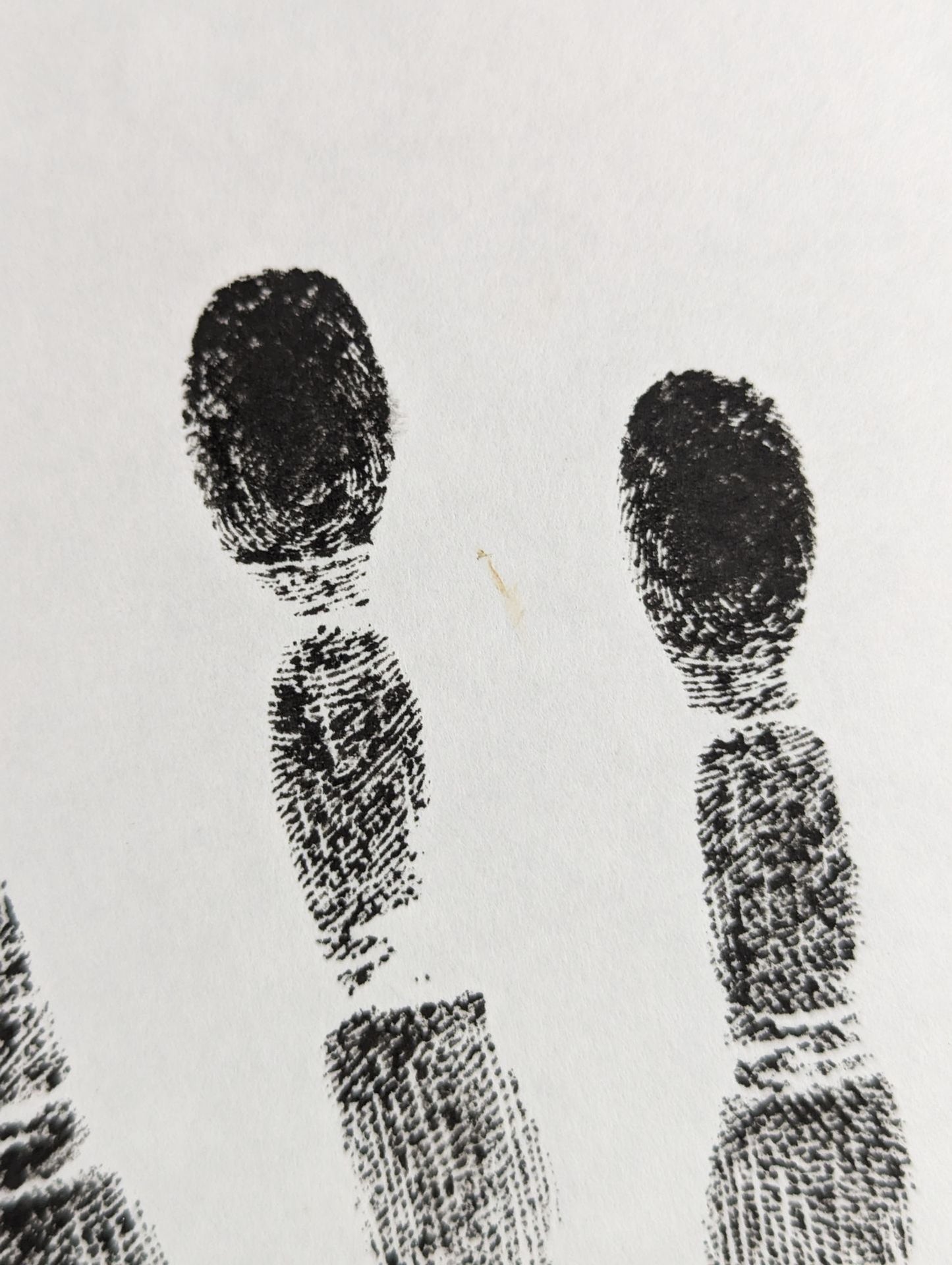 逸ノ城(黒手形入り)