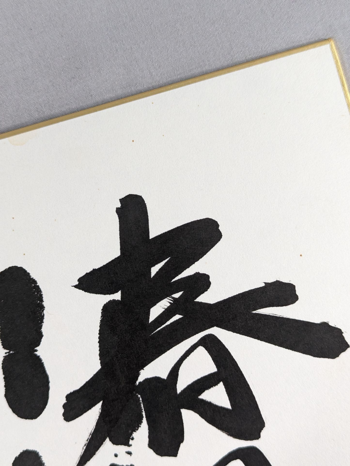 春日錦(黒手形入り)