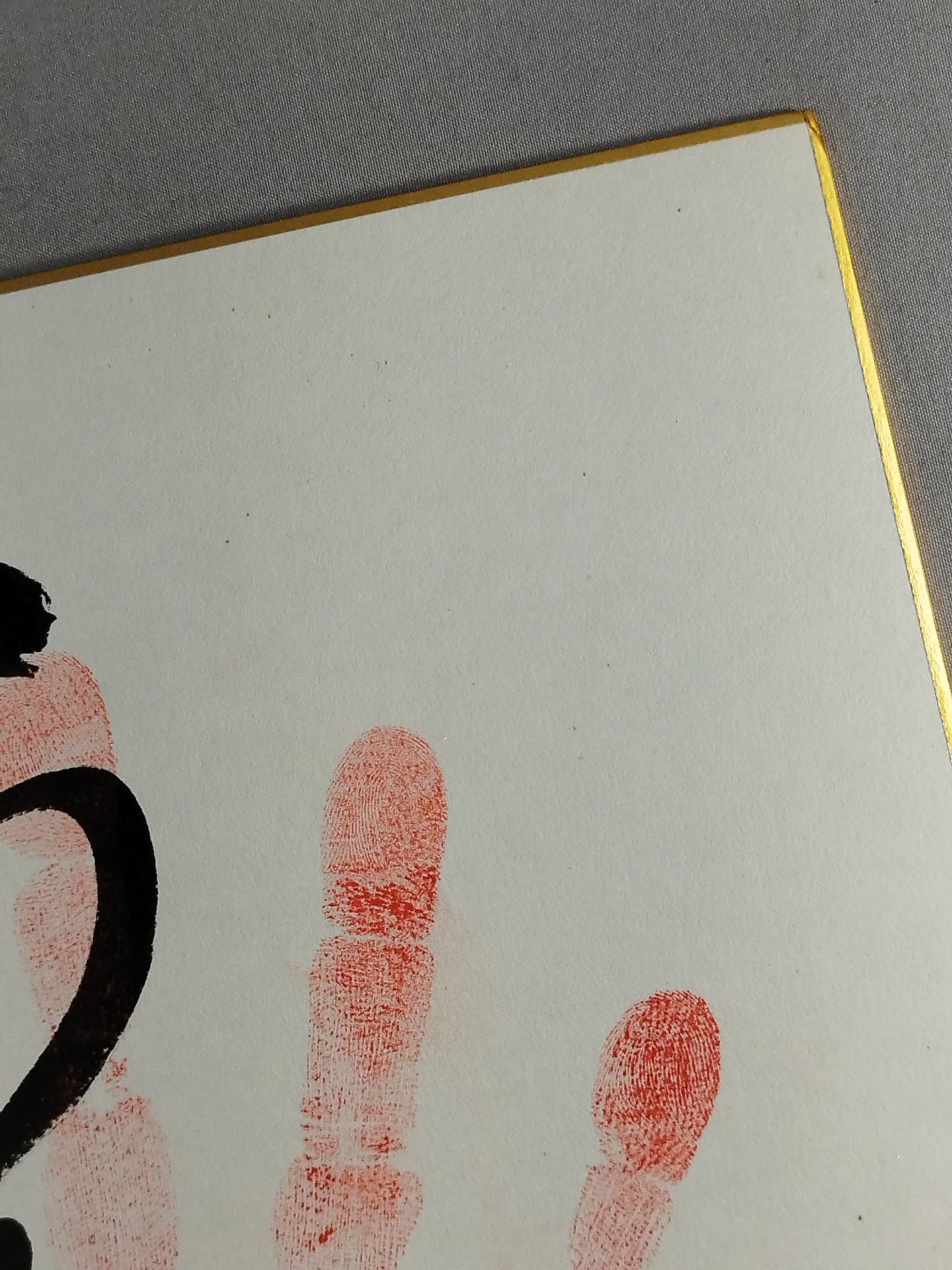 Takanowaka (WITH handprint )