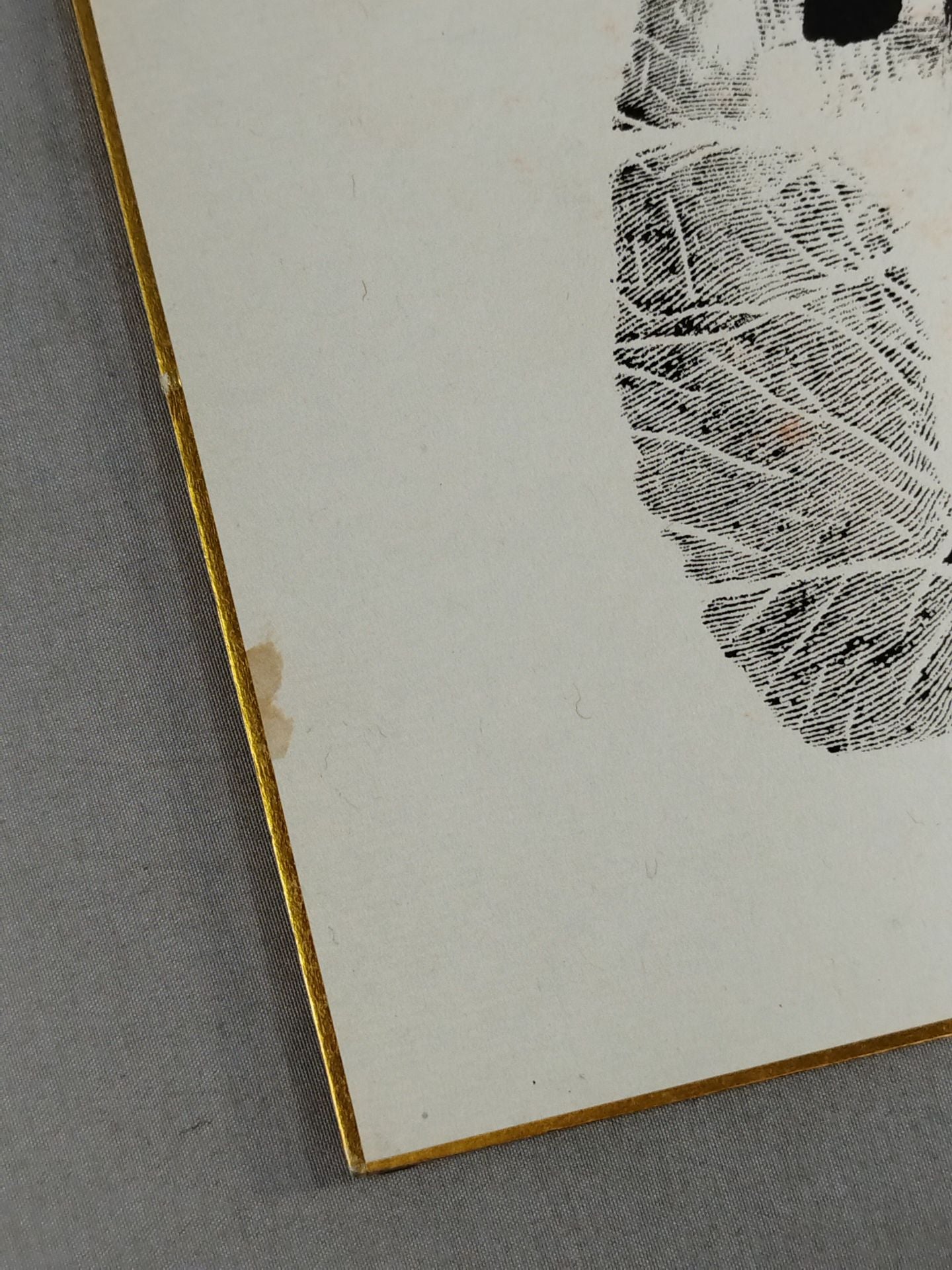 2nd Wakanohana (Black) with handprint )