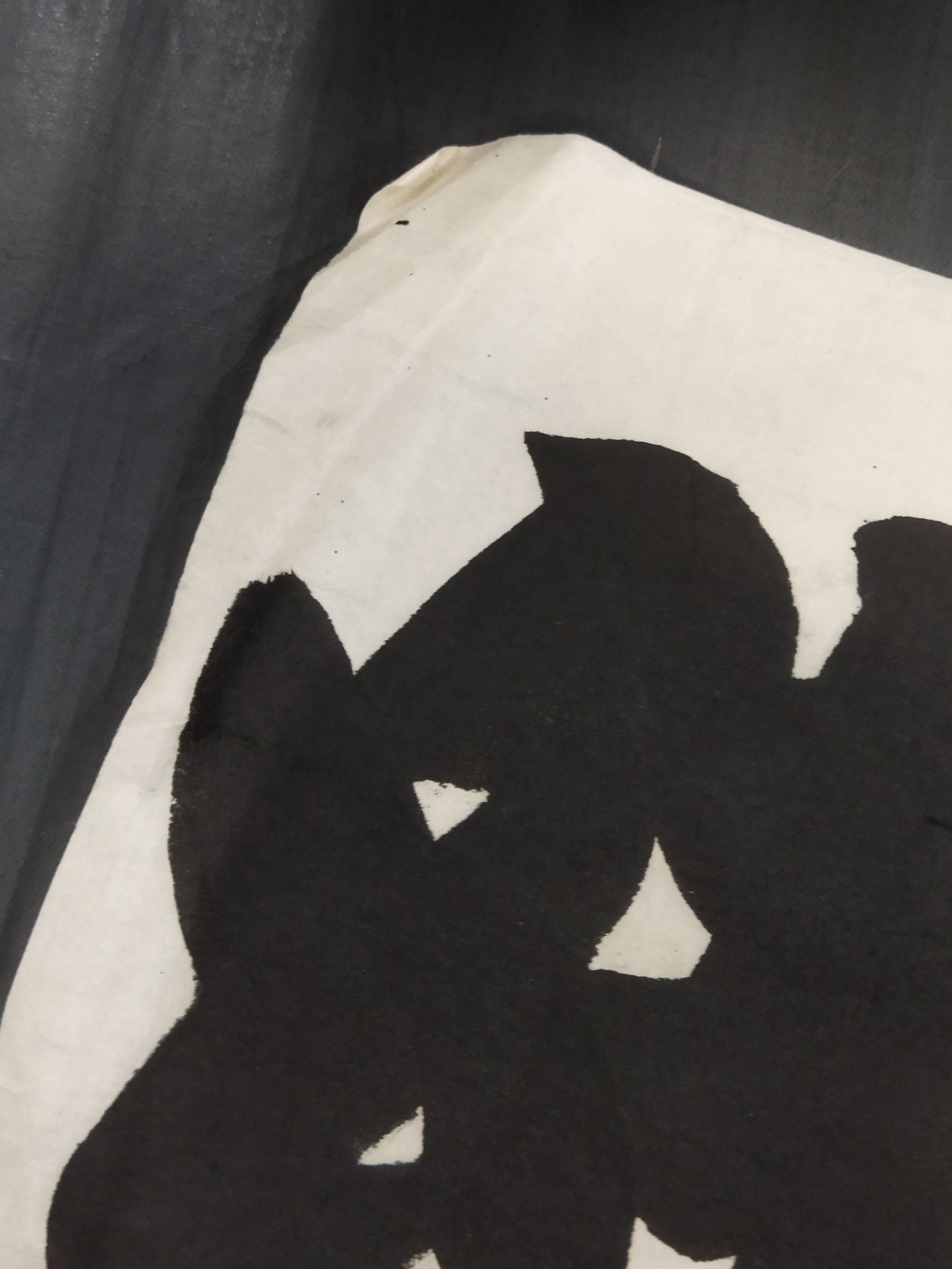 Ayasakura vs. Hausegawa (split paper)