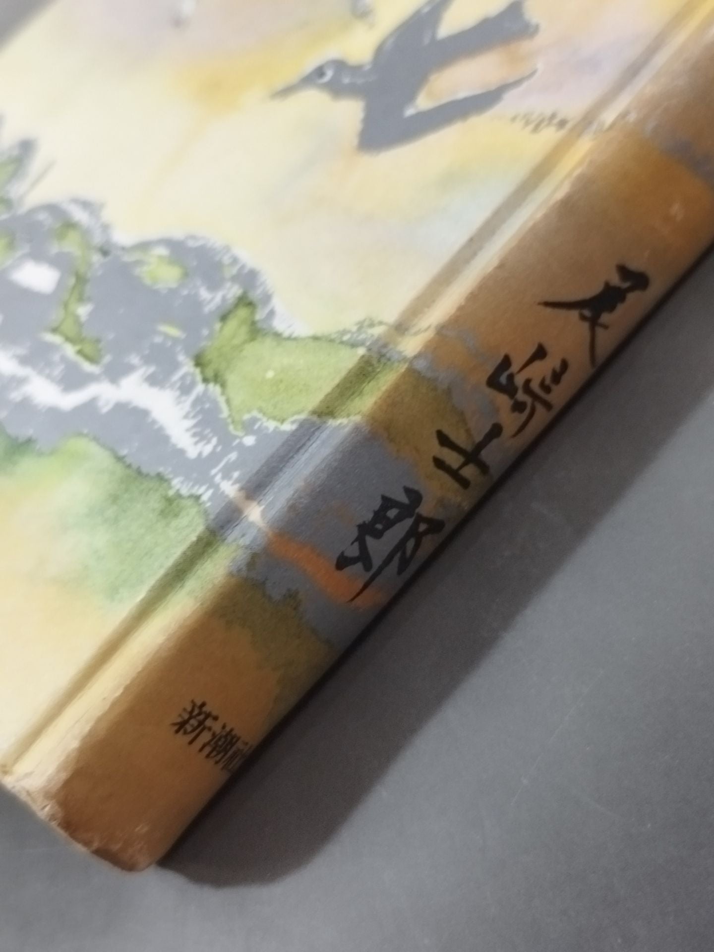 Raiden Heavenly Scroll