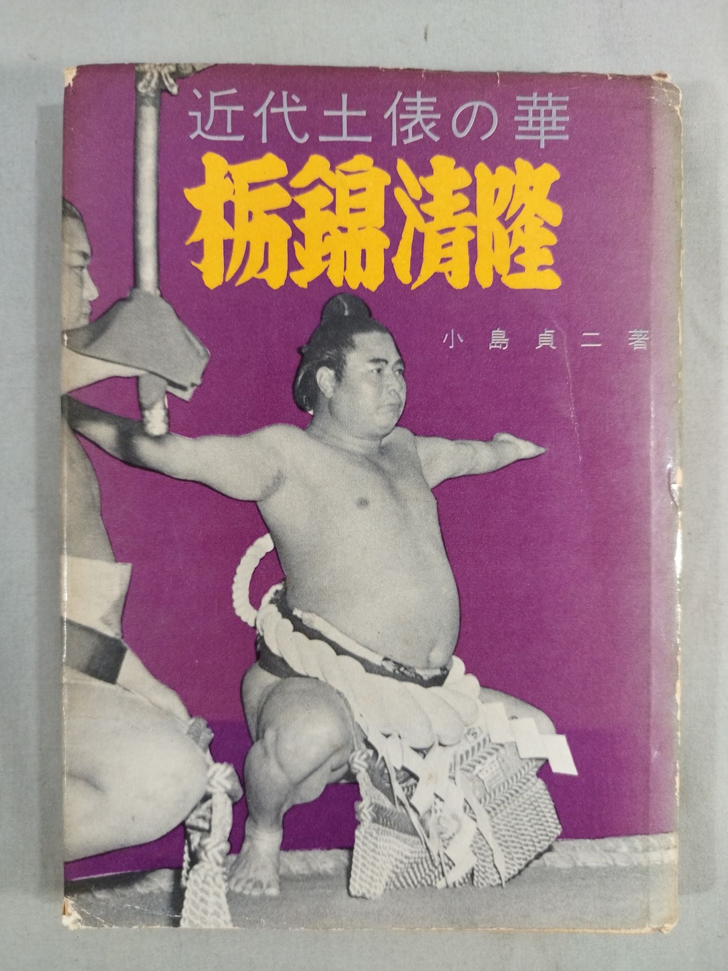 近代土俵の華 栃錦清隆