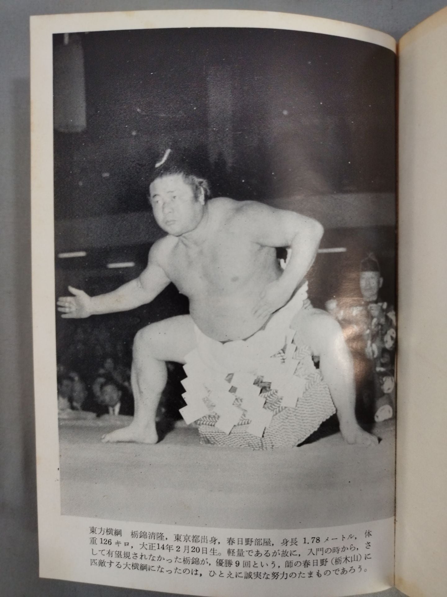 近代土俵の華 栃錦清隆