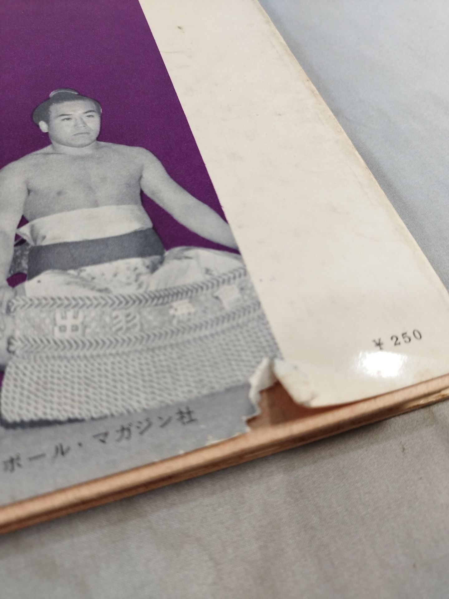 近代土俵の華 栃錦清隆