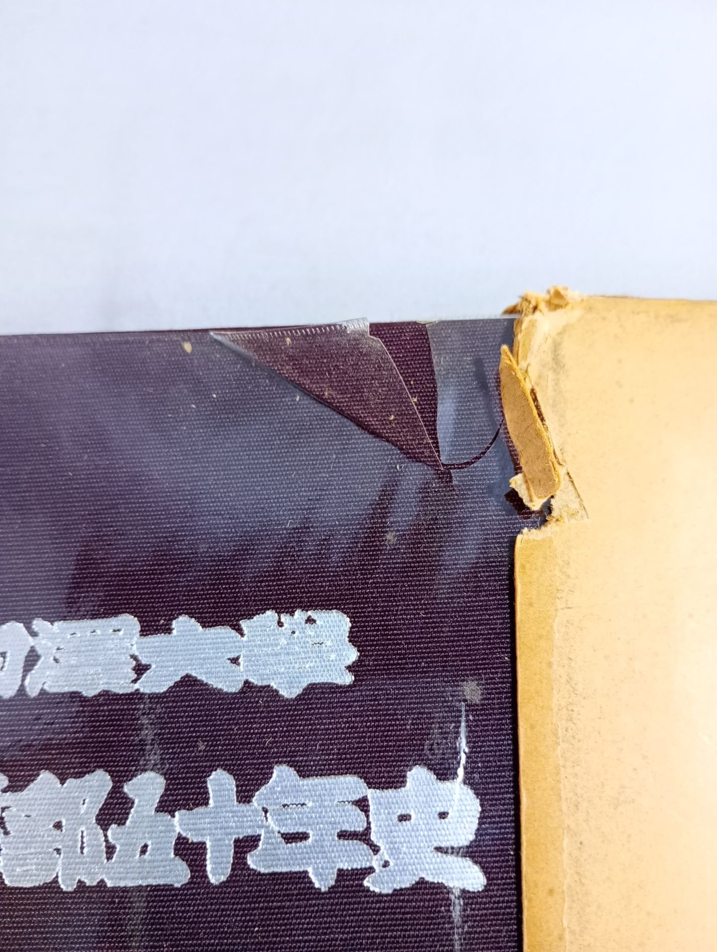 50-year history of Komazawa University Sumo Club