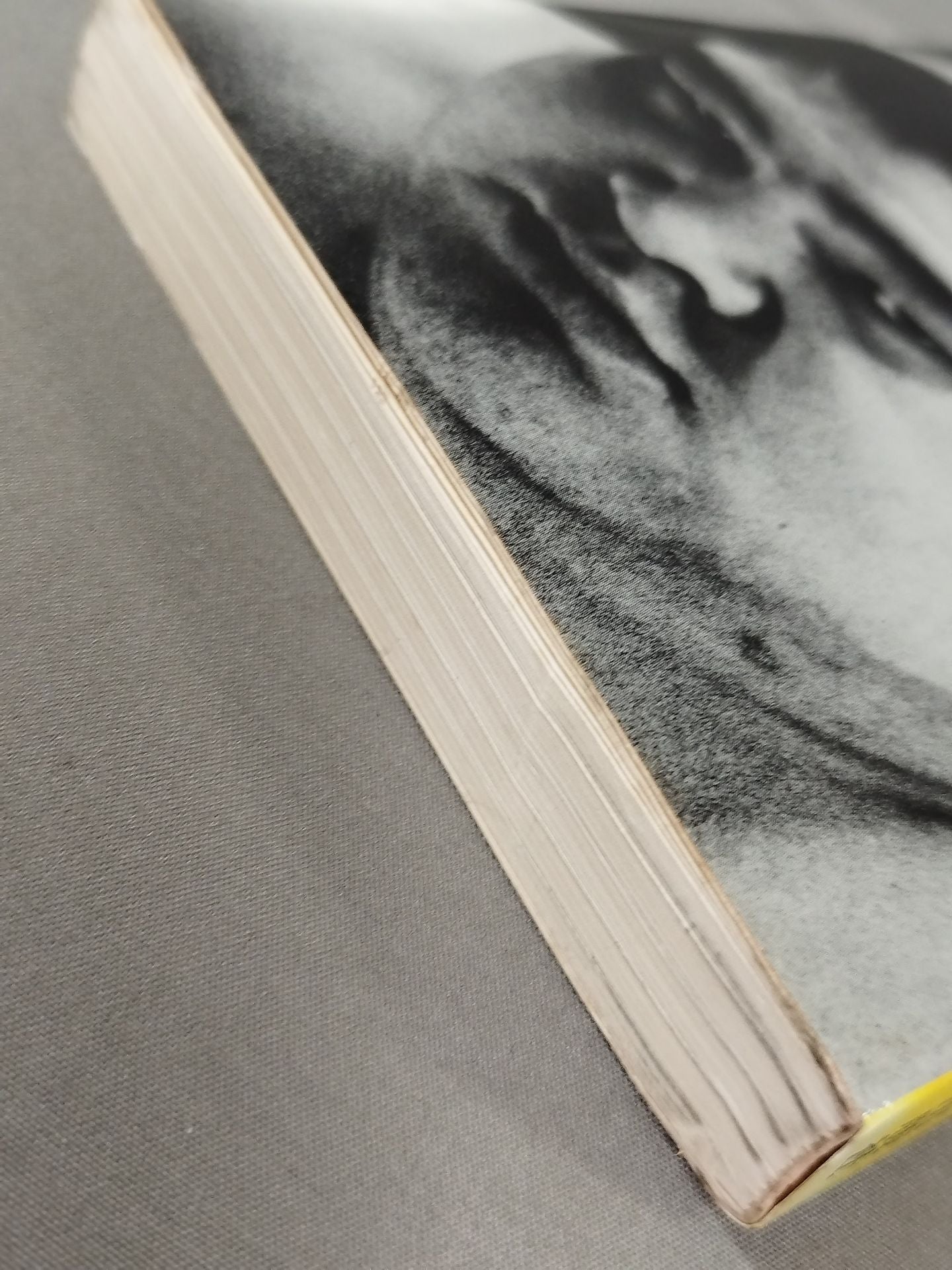 The Spirit of Youth Obsession on the Playing Field