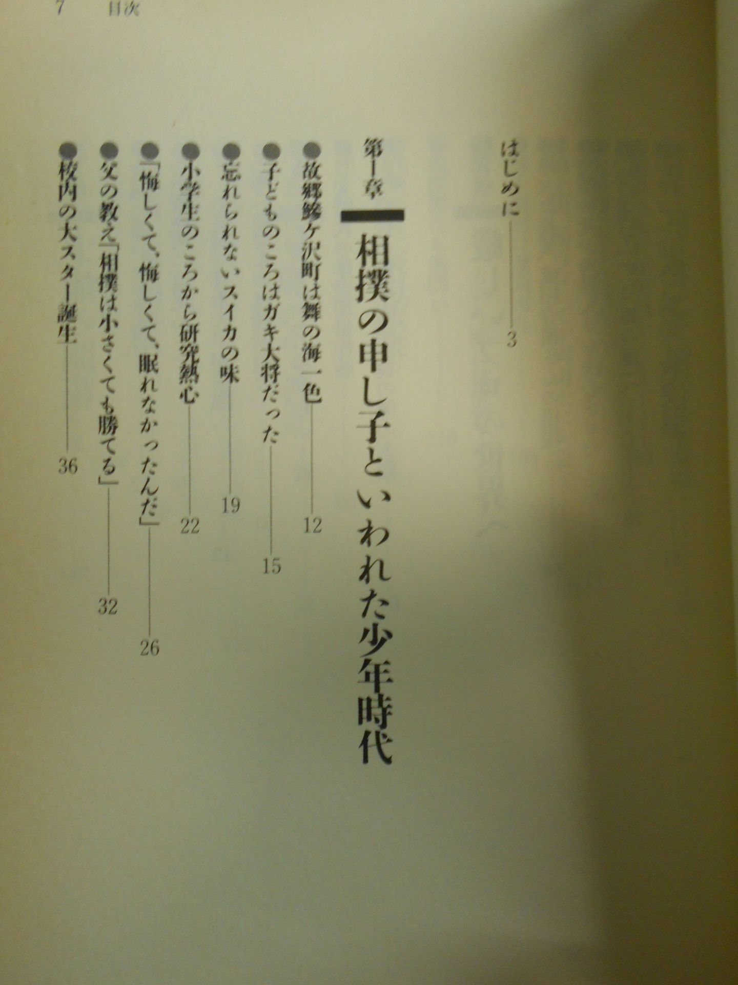 土俵の牛若丸 舞の海