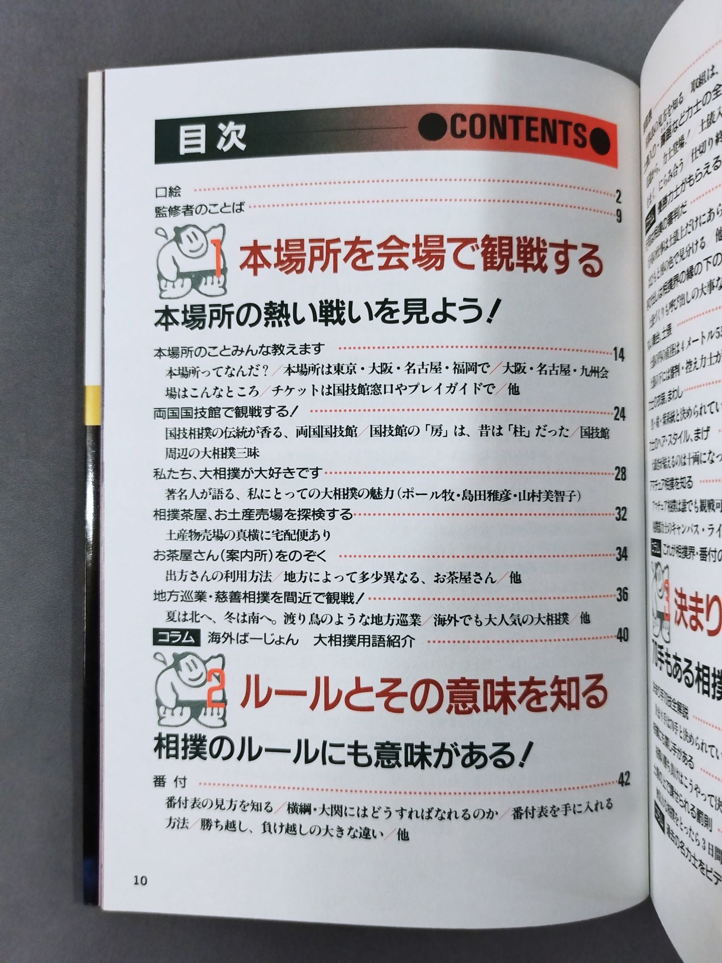 大相撲【スポーツ観戦シリーズ】