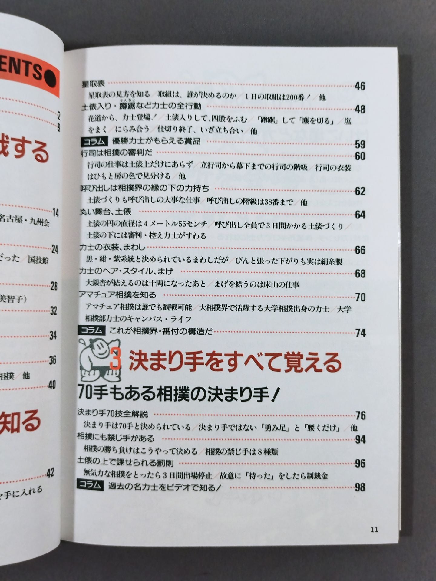 大相撲【スポーツ観戦シリーズ】