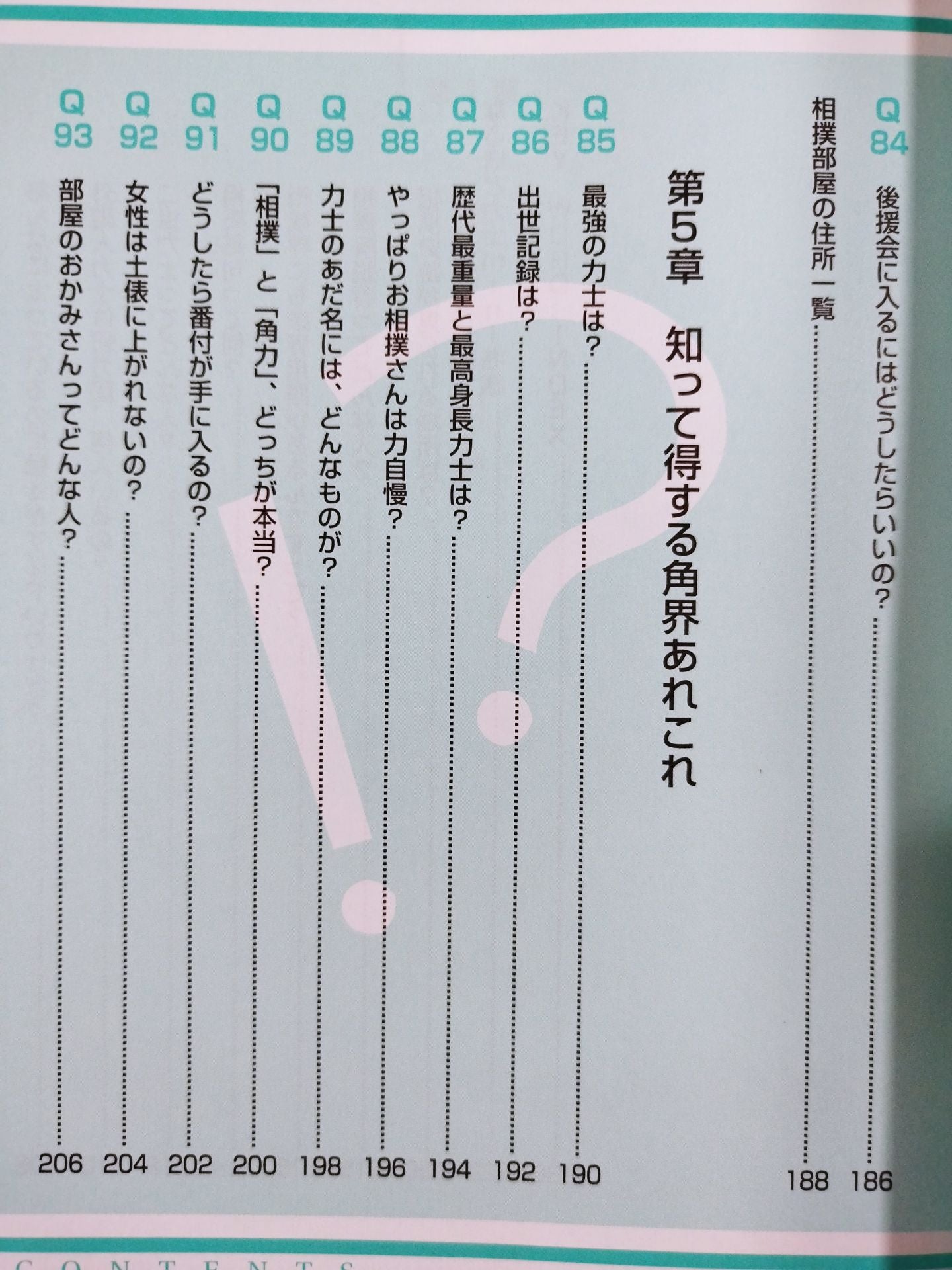 Professional sumo wrestling!