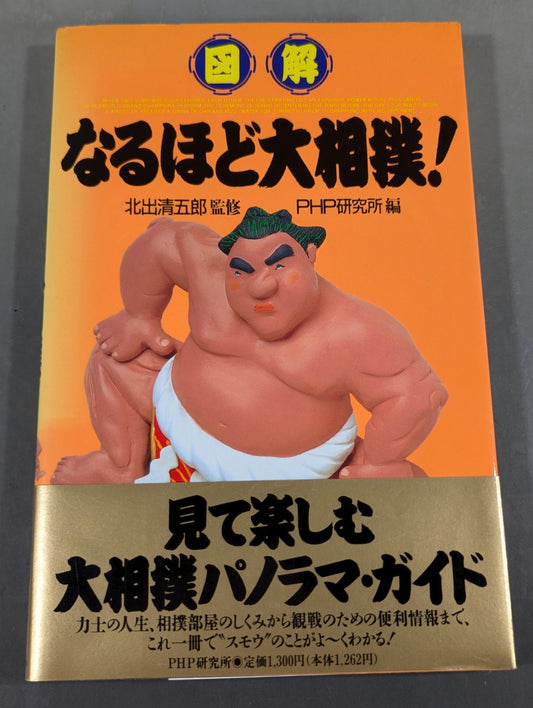 Illustrated sumo wrestling