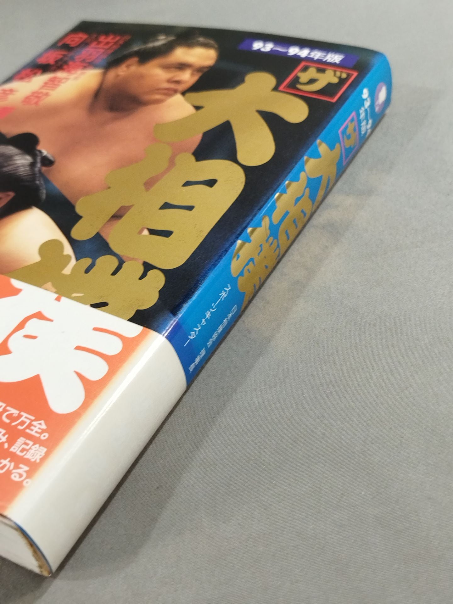 93~94 The Sumo