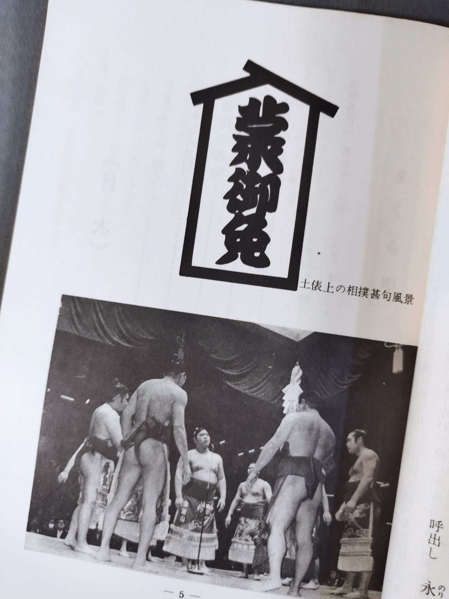 Sumo Wrestling
