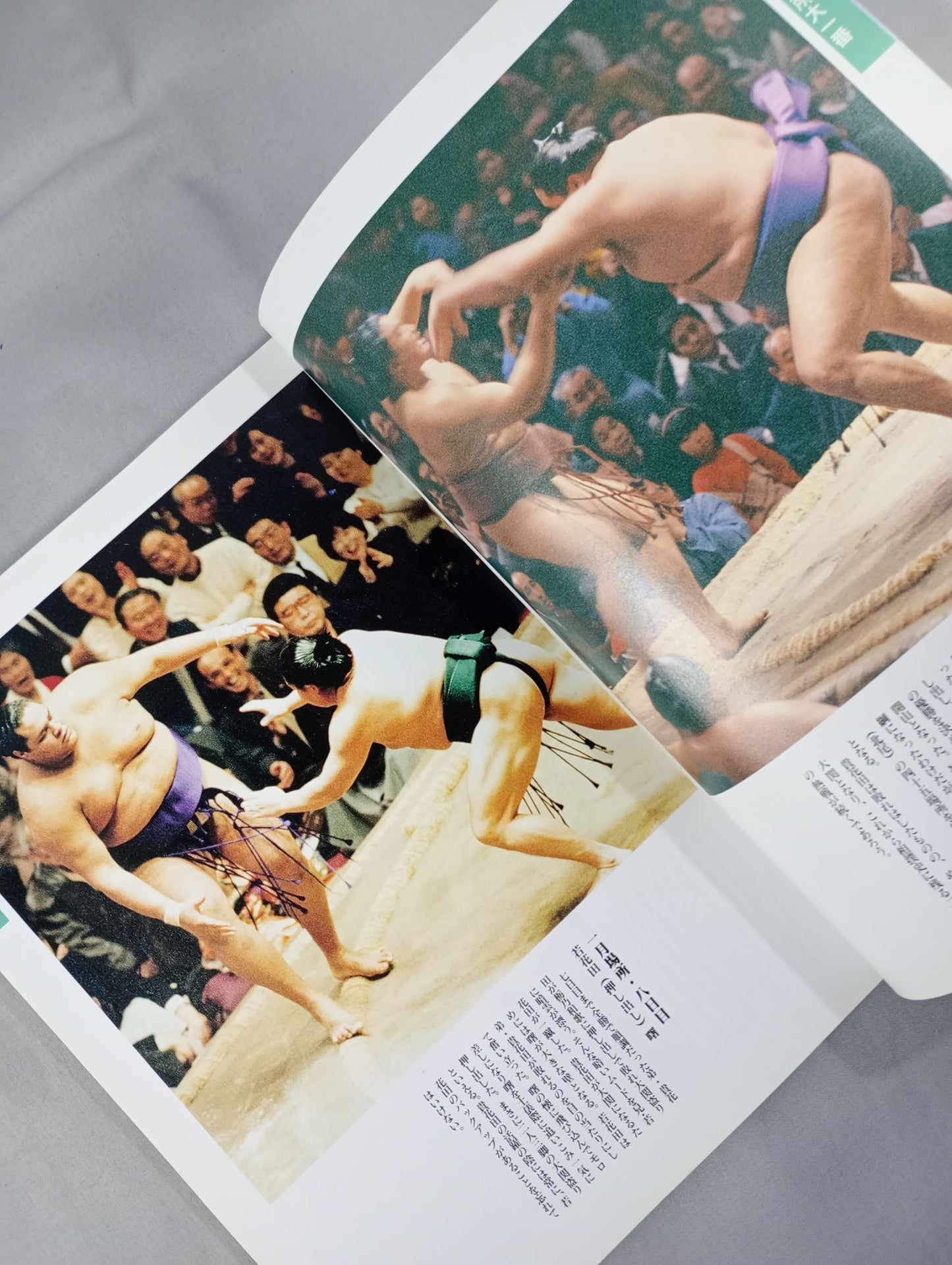 SUMO GUIDE '93 II. THE BEGINNING OF THE AKEBONO ERA!